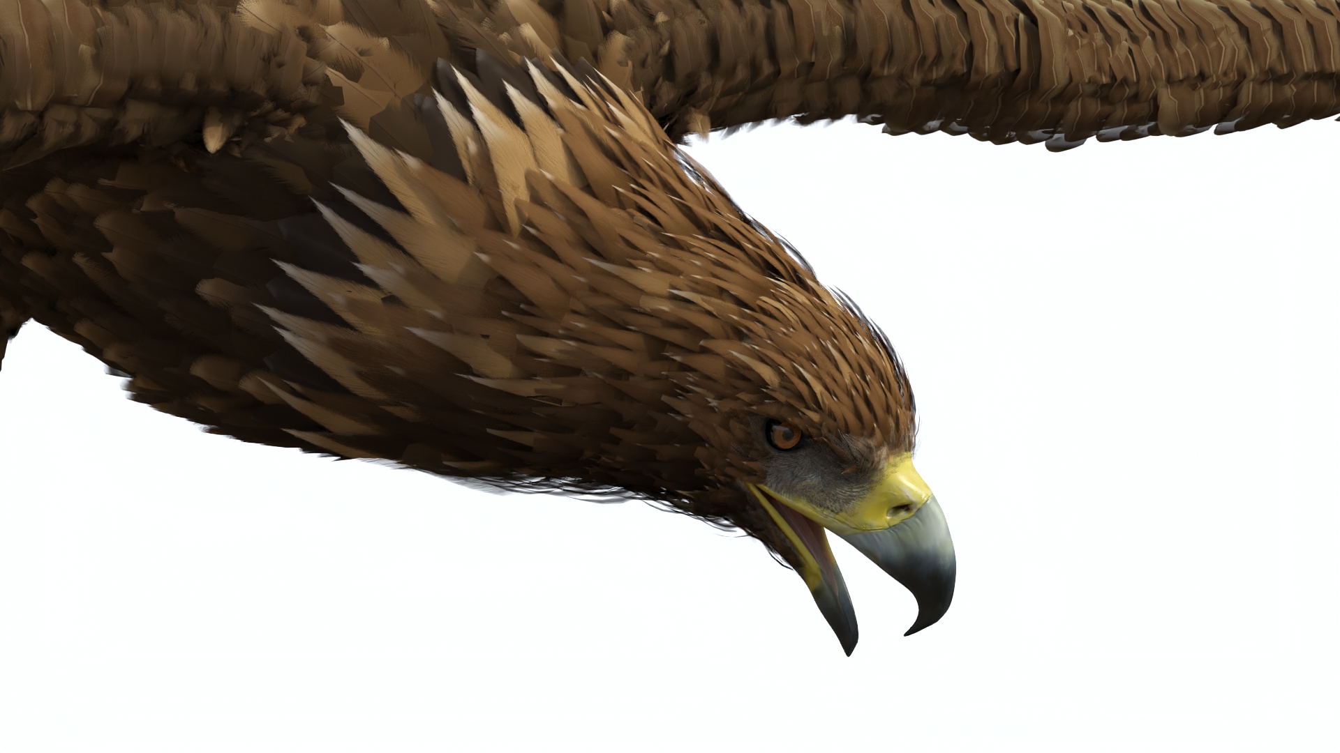 Realistic Flying Gurney Eagle 3D model