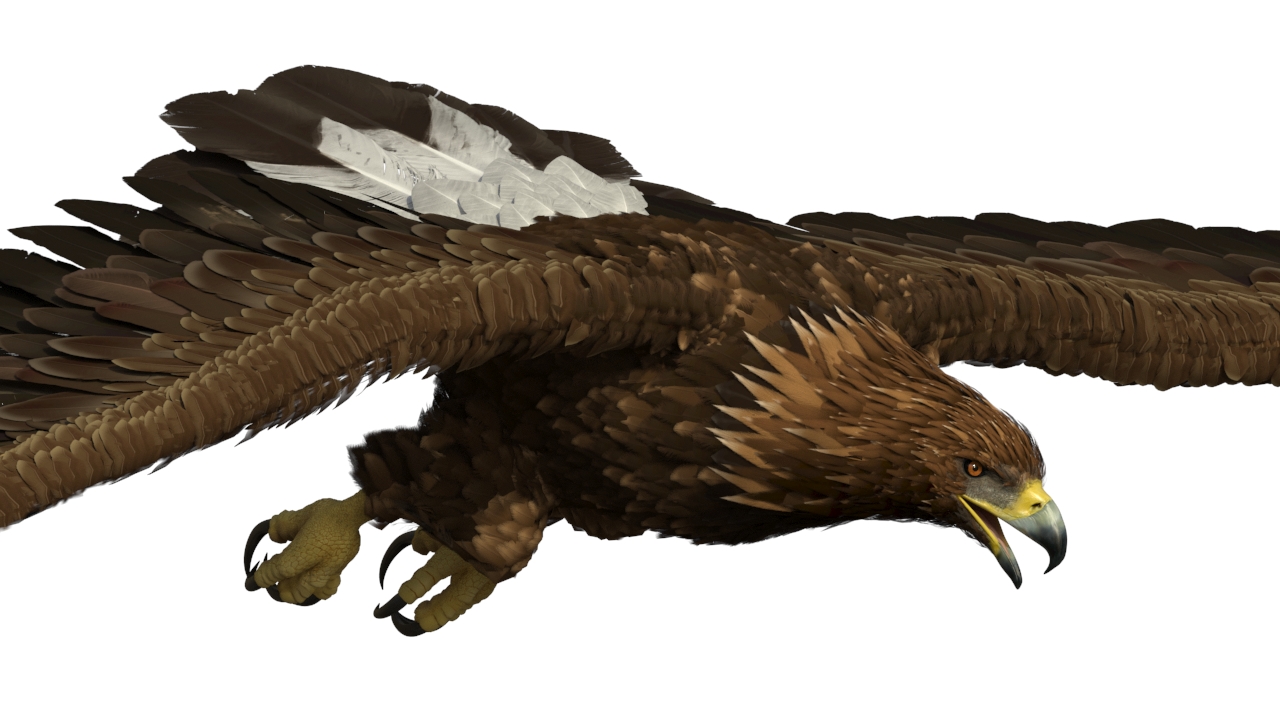 Realistic Flying Gurney Eagle 3D model
