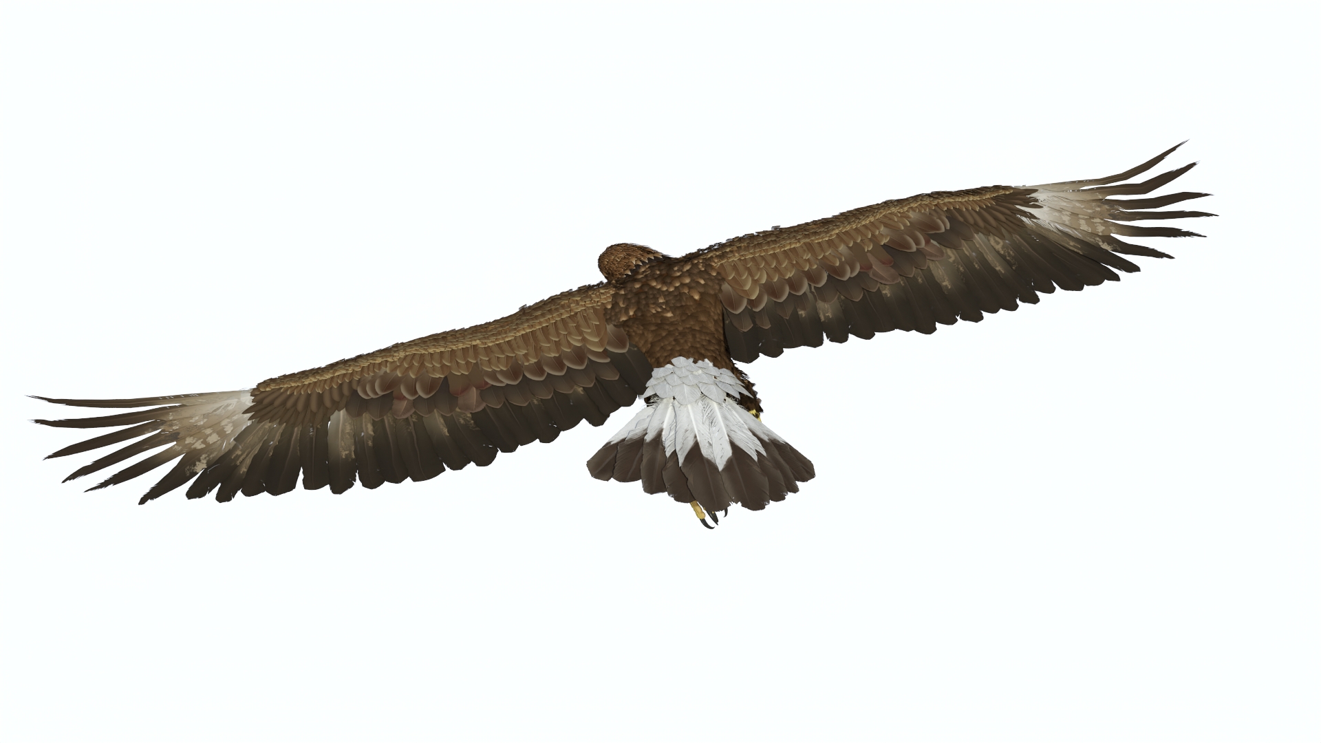 Realistic Flying Gurney Eagle 3D model