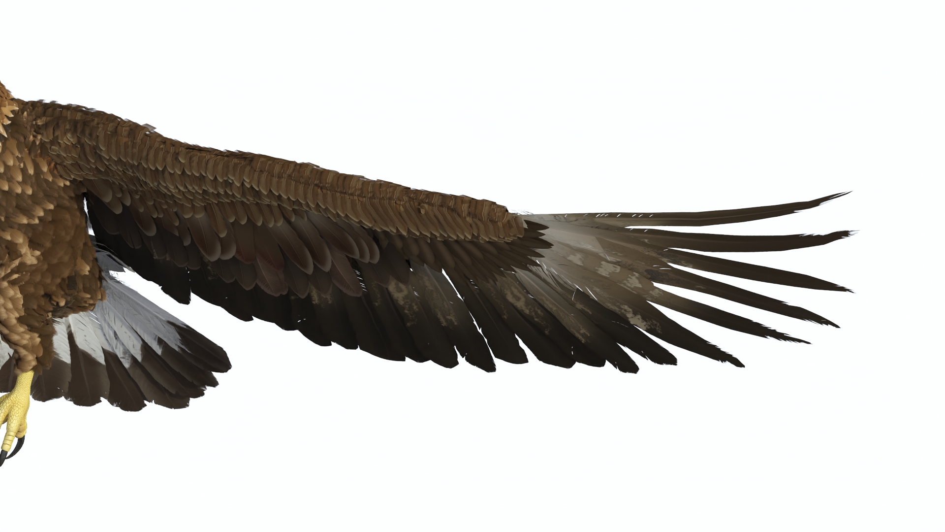 Realistic Flying Gurney Eagle 3D model