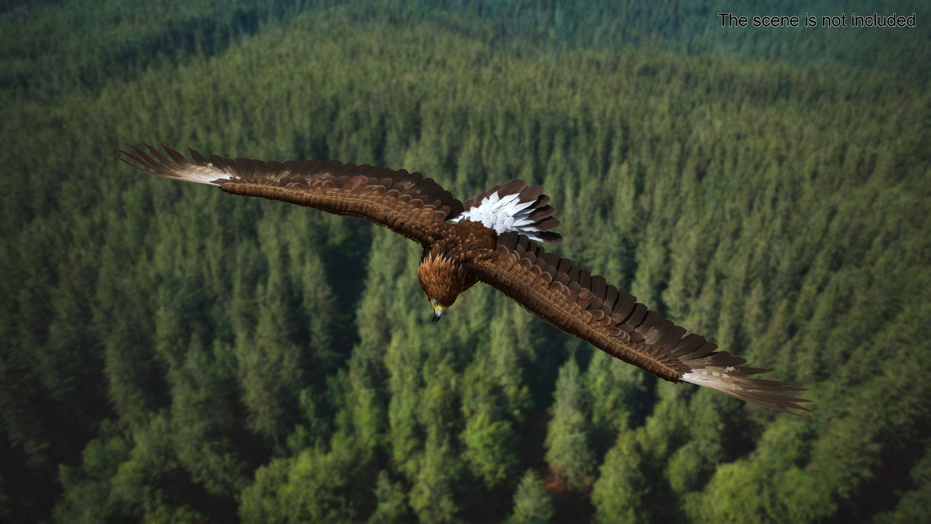 Realistic Flying Gurney Eagle 3D model