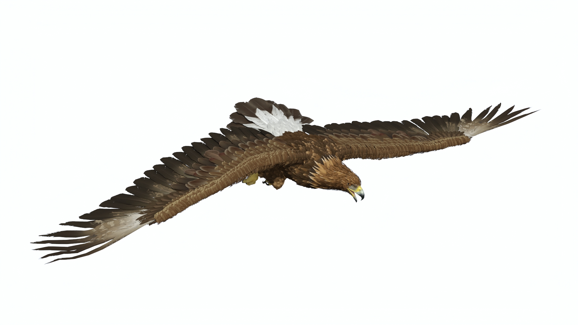 Realistic Flying Gurney Eagle 3D model