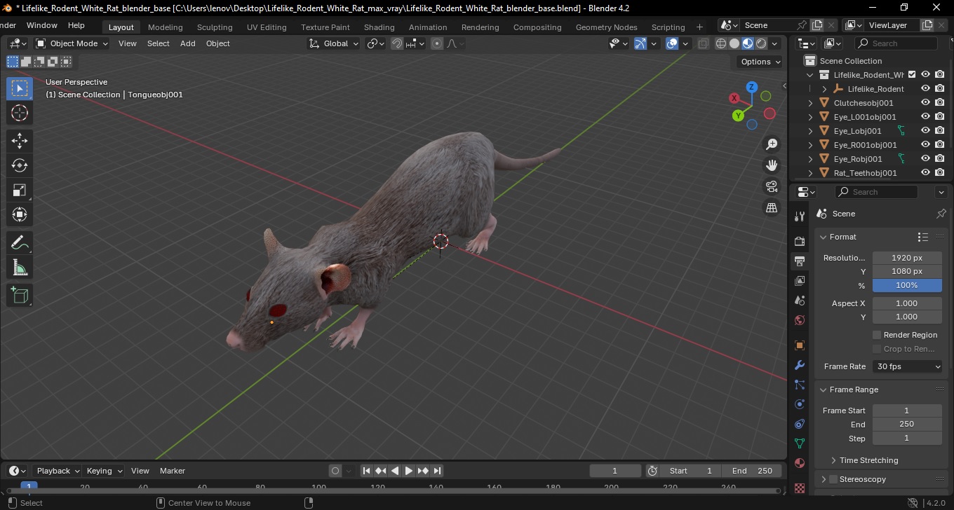 3D model Lifelike Rodent White Rat