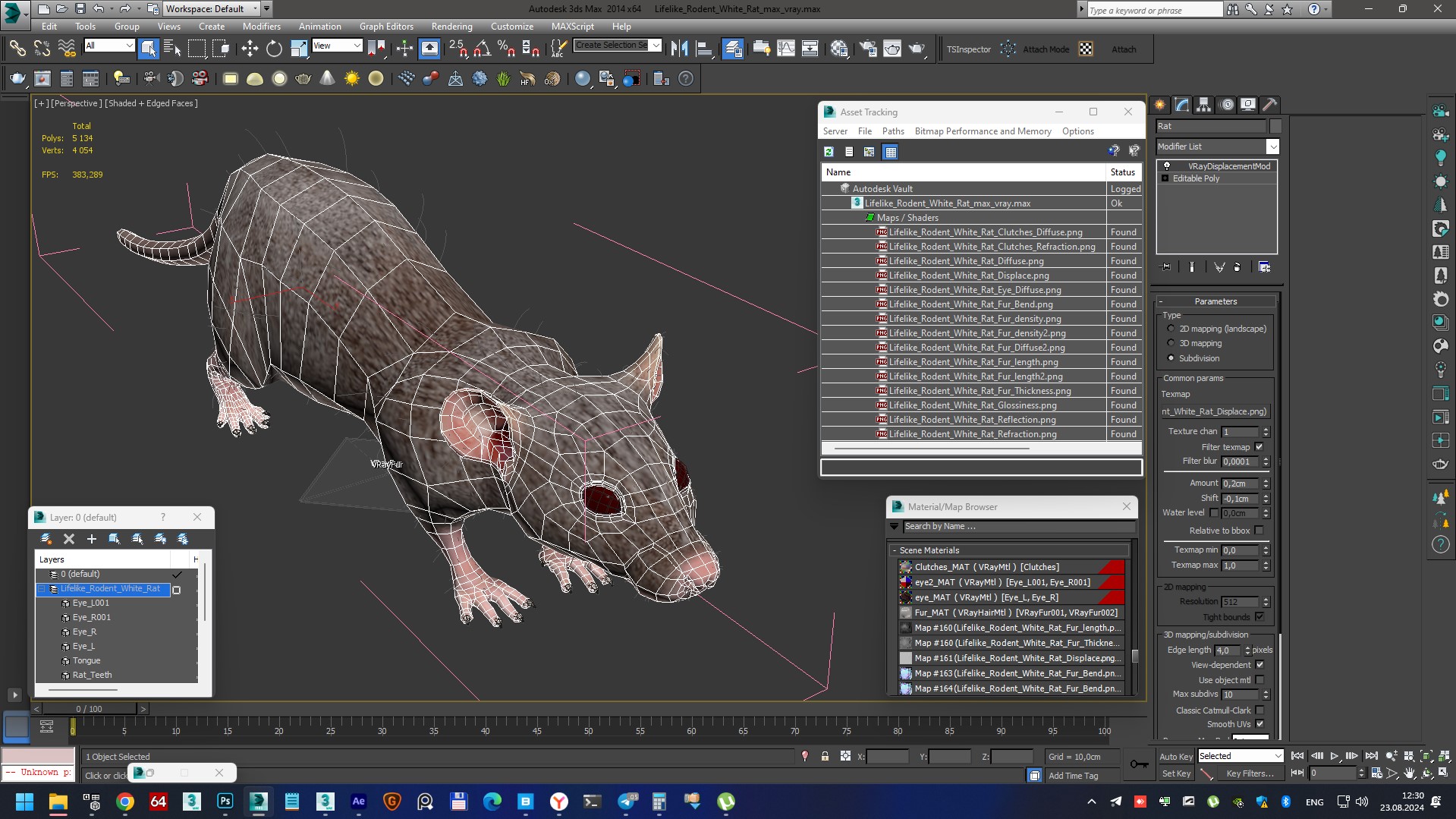 3D model Lifelike Rodent White Rat