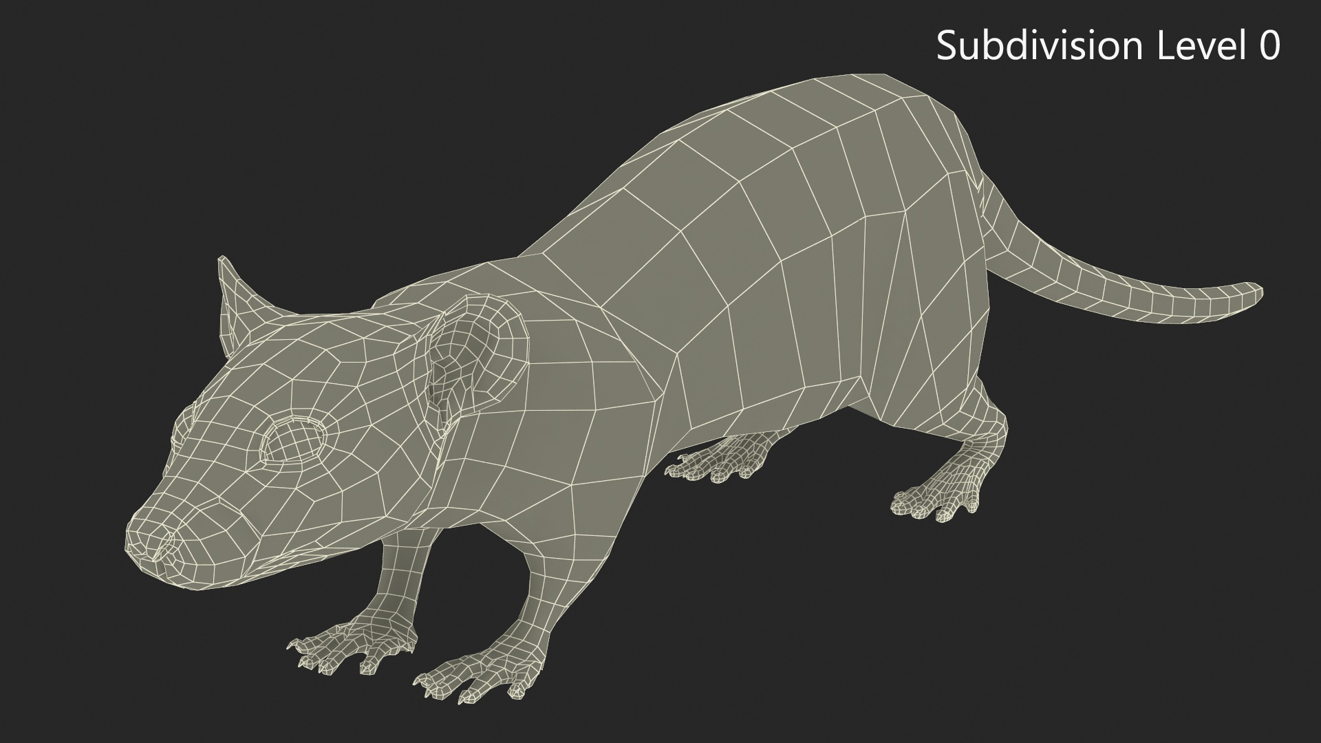 3D model Lifelike Rodent White Rat