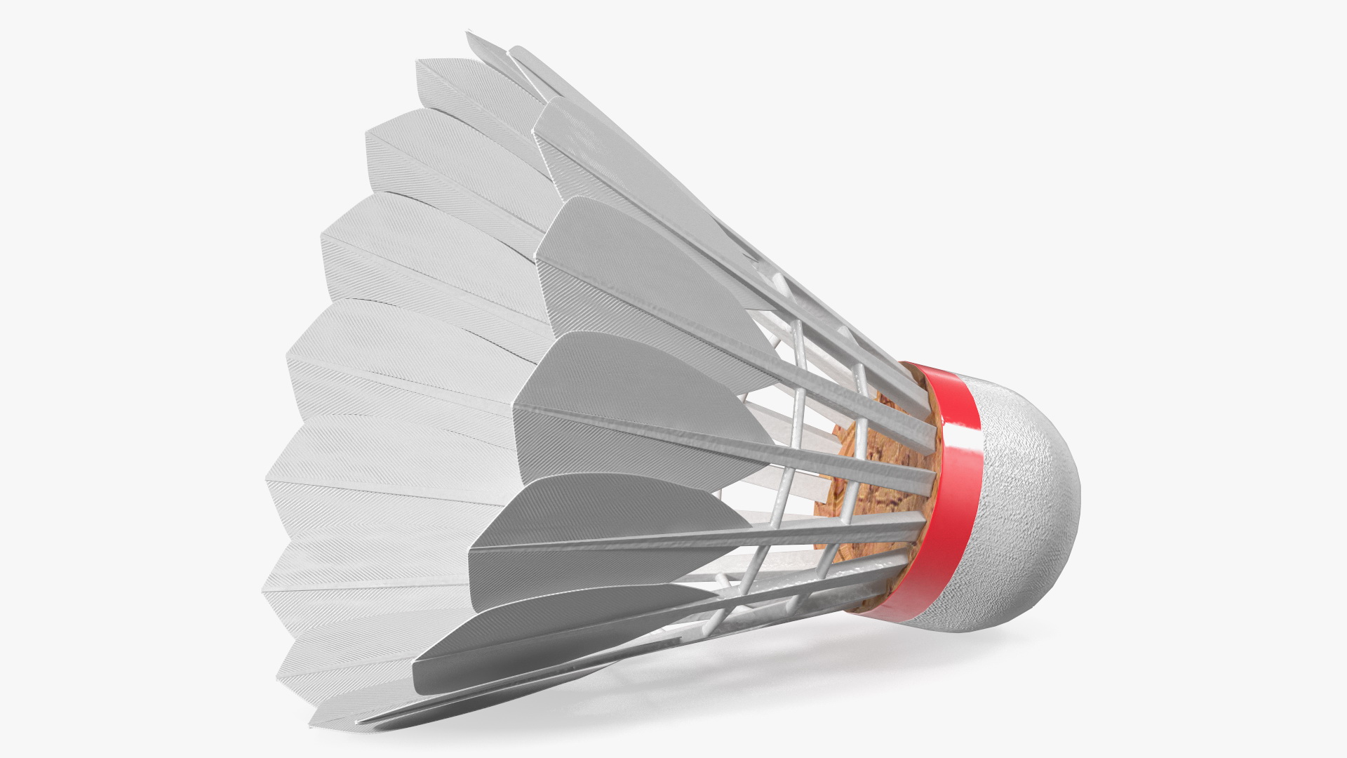 3D Corkwood Badminton Feather Shuttlecock model