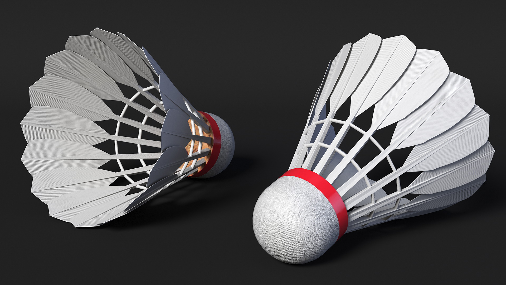 3D Corkwood Badminton Feather Shuttlecock model