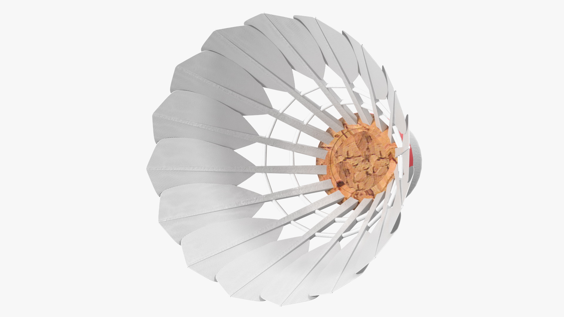 3D Corkwood Badminton Feather Shuttlecock model