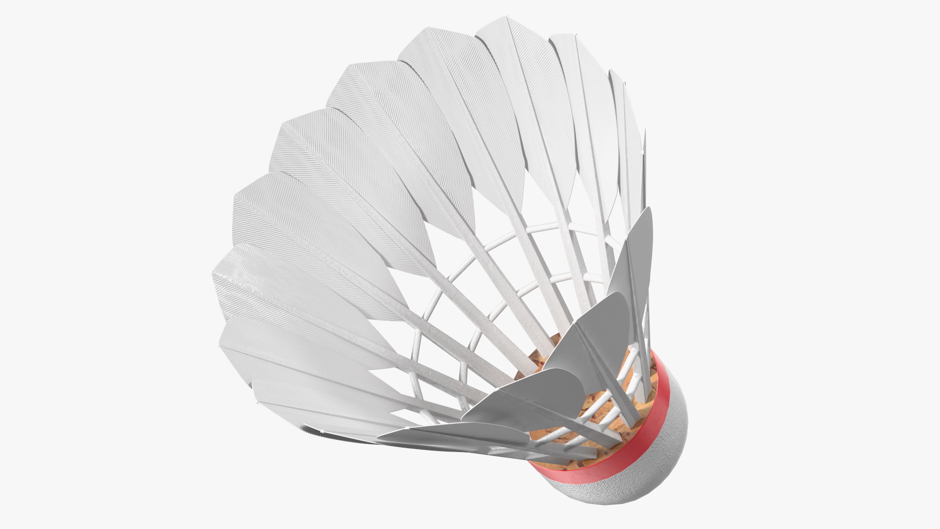 3D Corkwood Badminton Feather Shuttlecock model