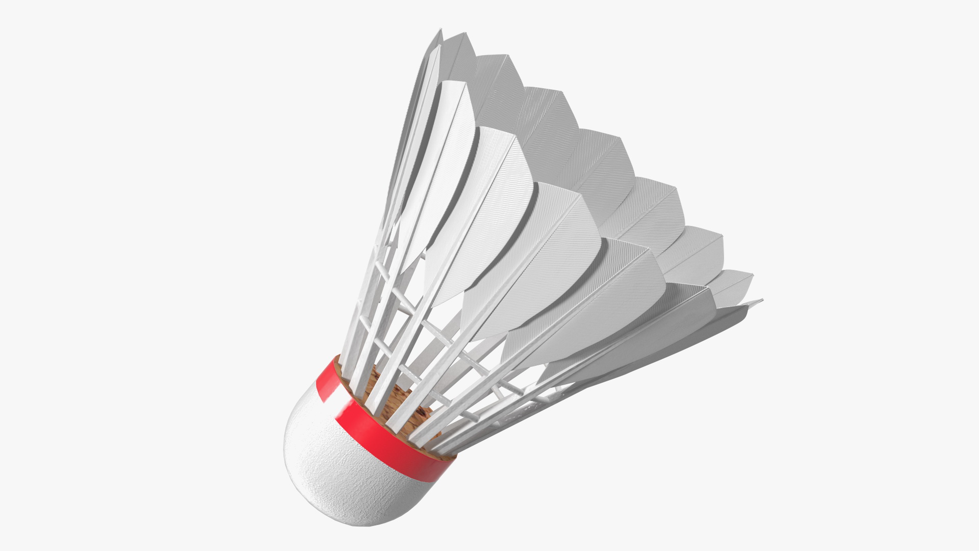 3D Corkwood Badminton Feather Shuttlecock model