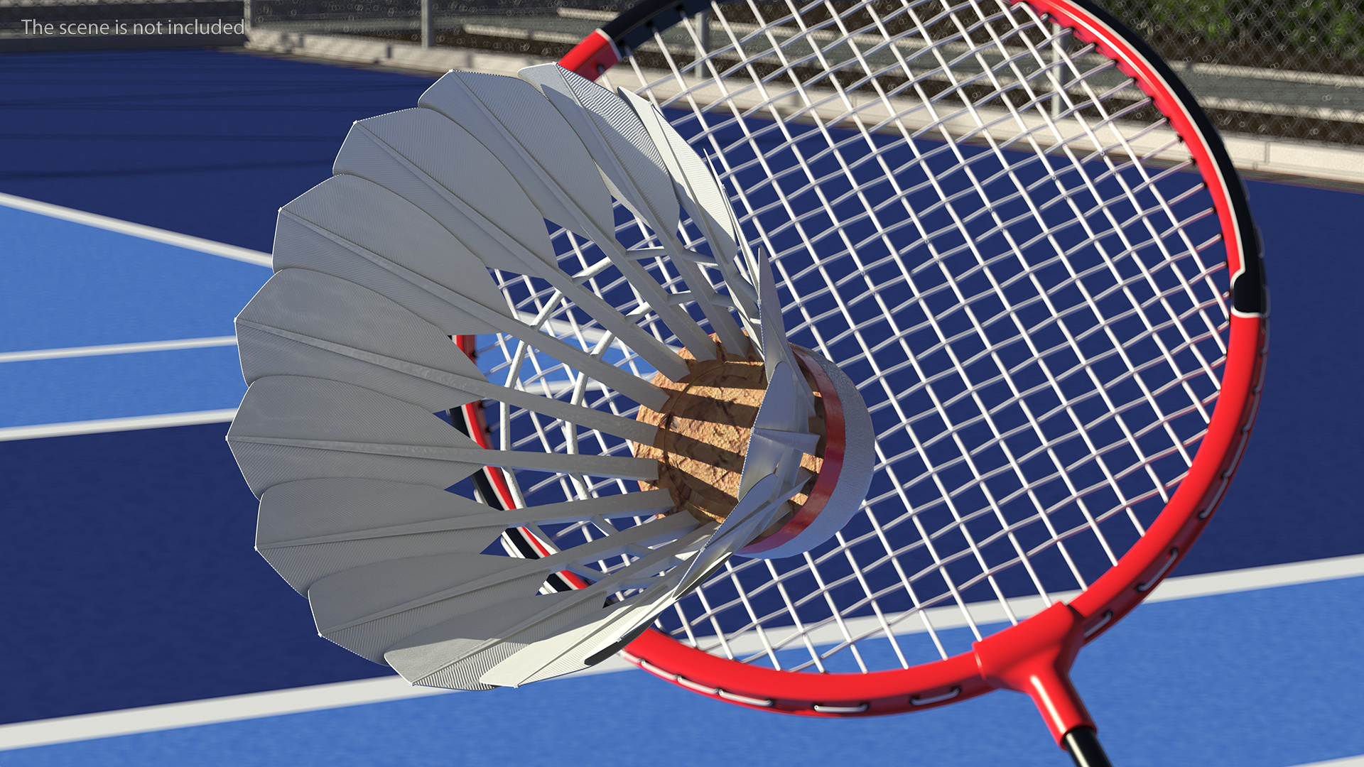 3D Corkwood Badminton Feather Shuttlecock model