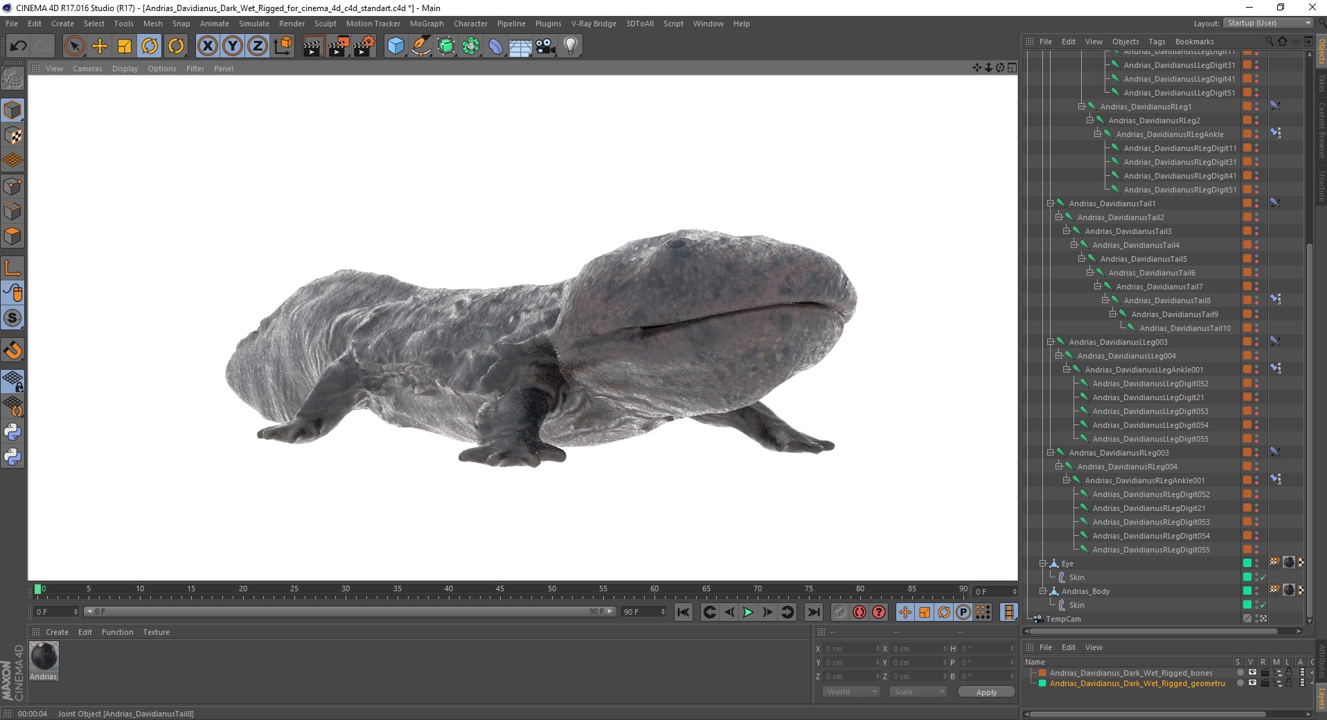 3D Andrias Davidianus Dark Wet Rigged for Cinema 4D model