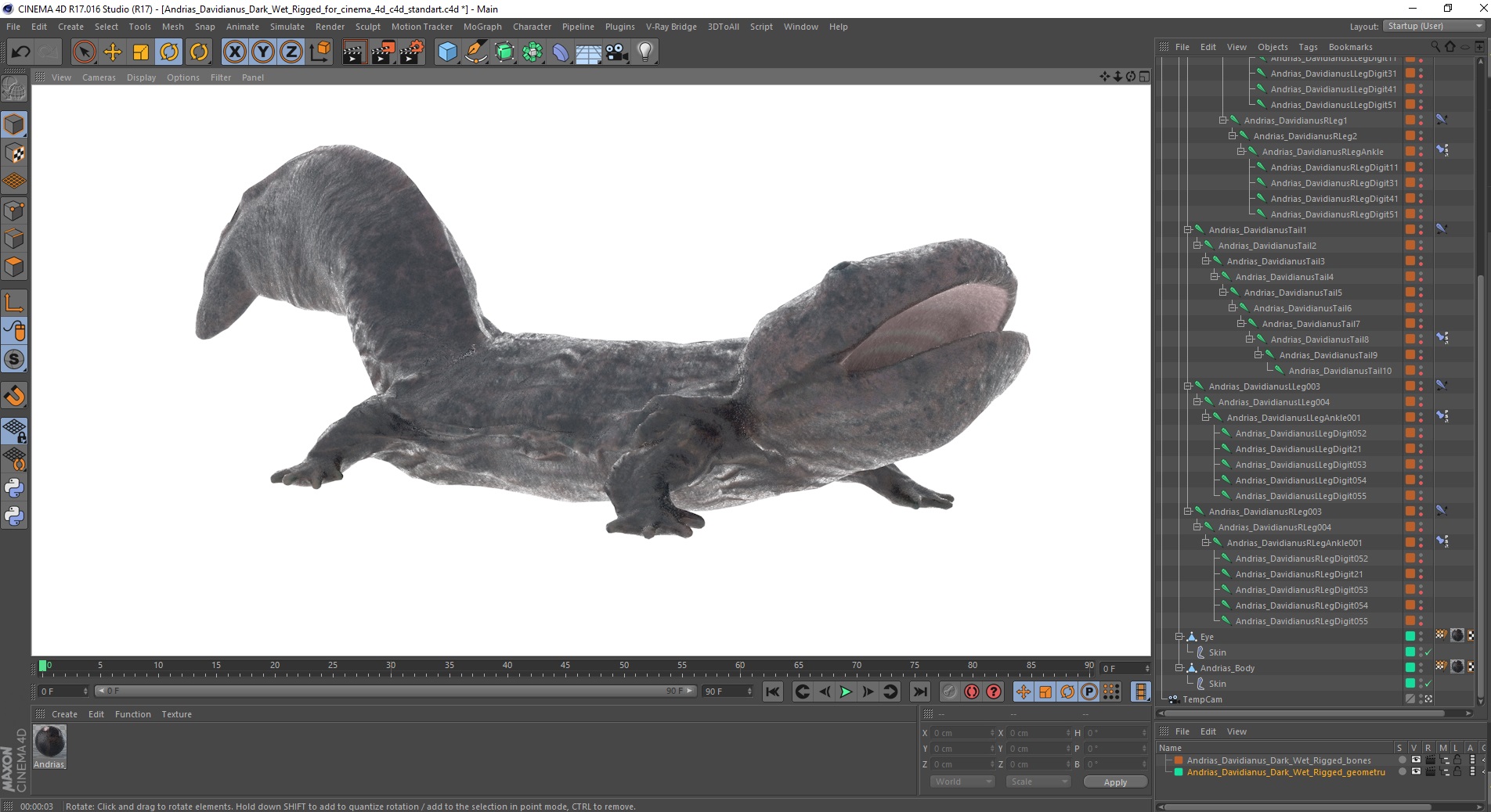3D Andrias Davidianus Dark Wet Rigged for Cinema 4D model