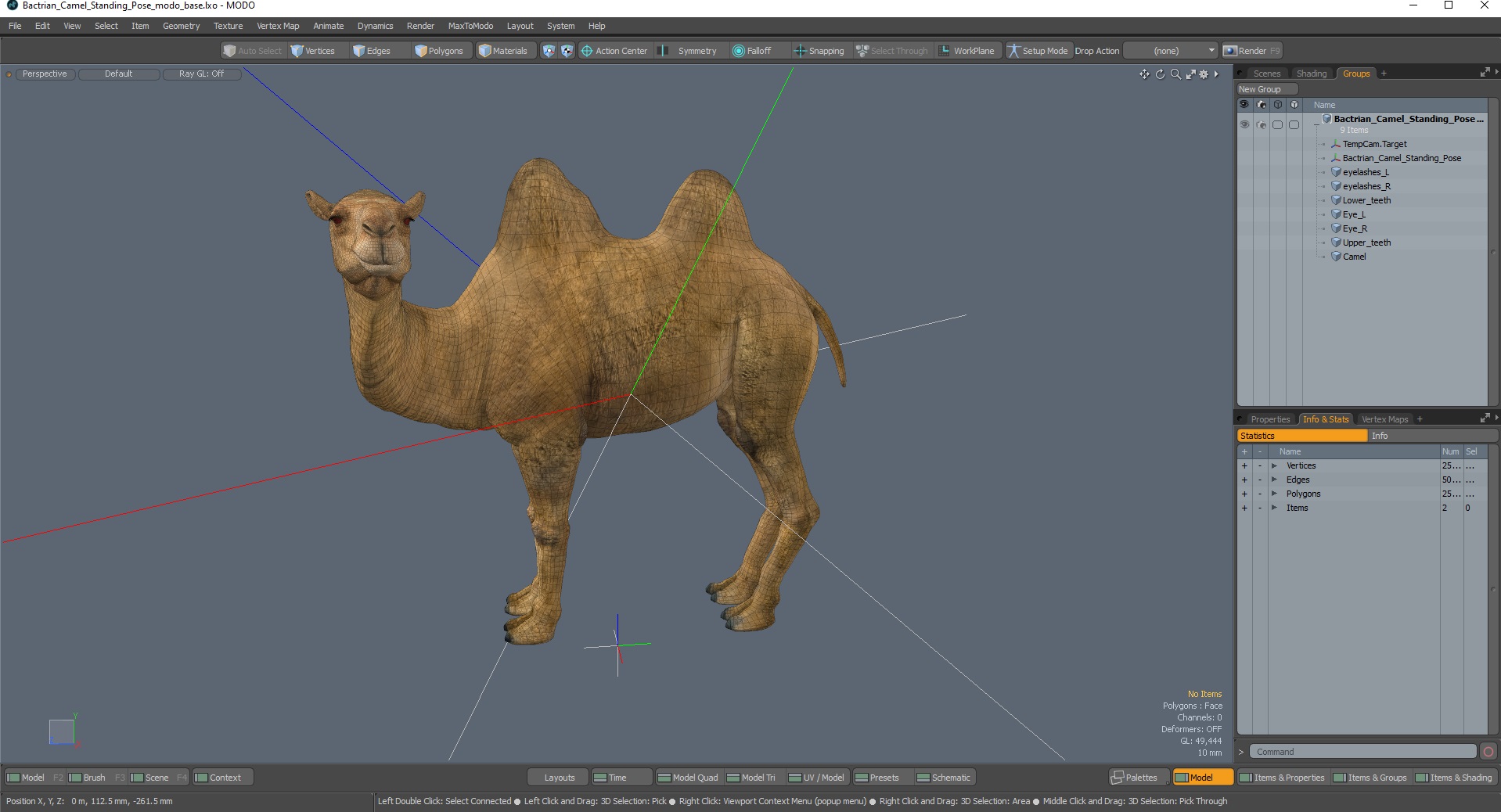 3D Bactrian Camel Standing Pose model