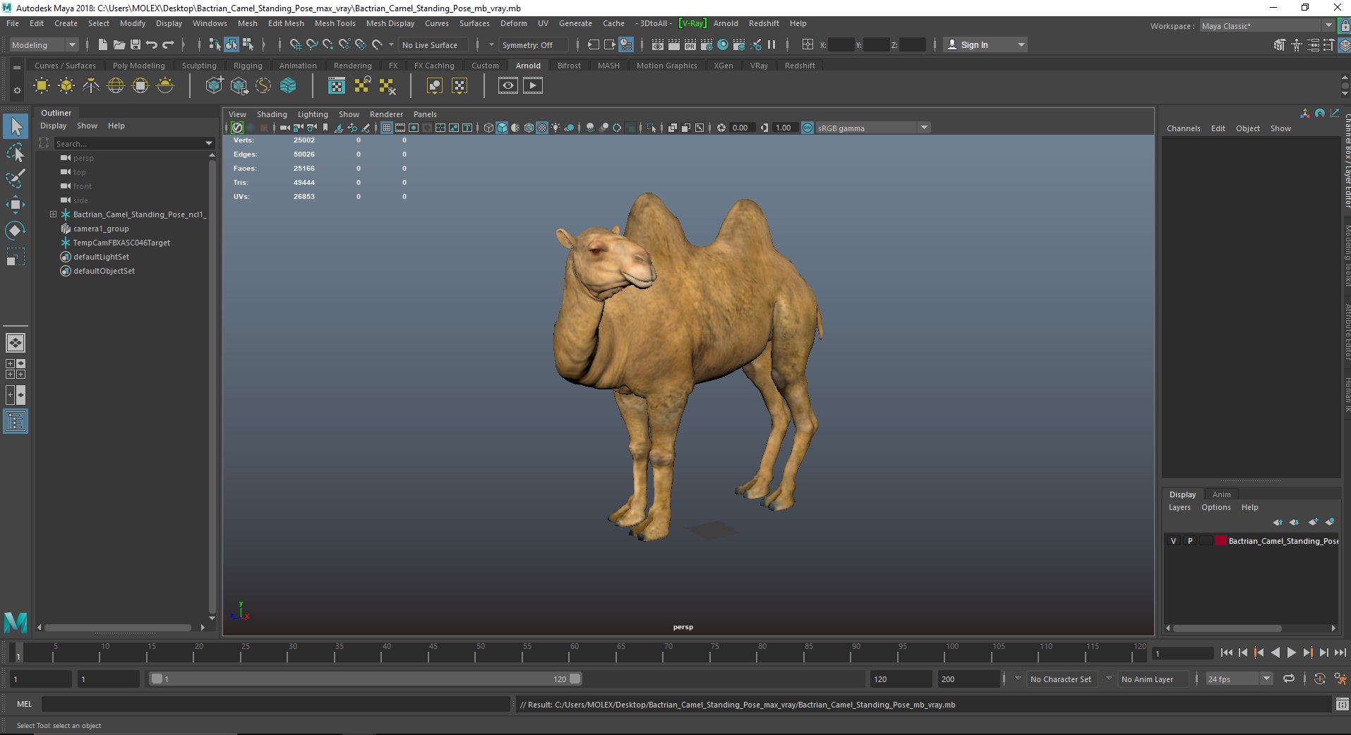 3D Bactrian Camel Standing Pose model
