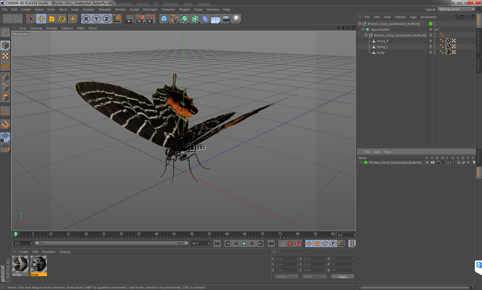 Bhutan Glory Swallowtail Butterfly 3D model