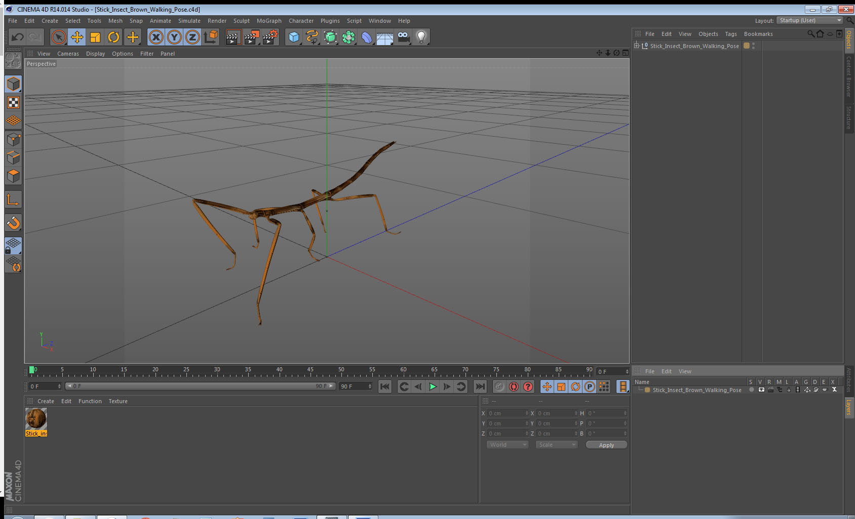 3D Stick Insect Brown Walking Pose