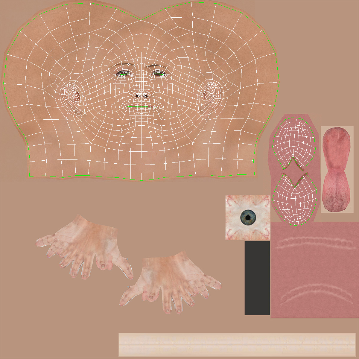 3D Female Soldier Head Fur model