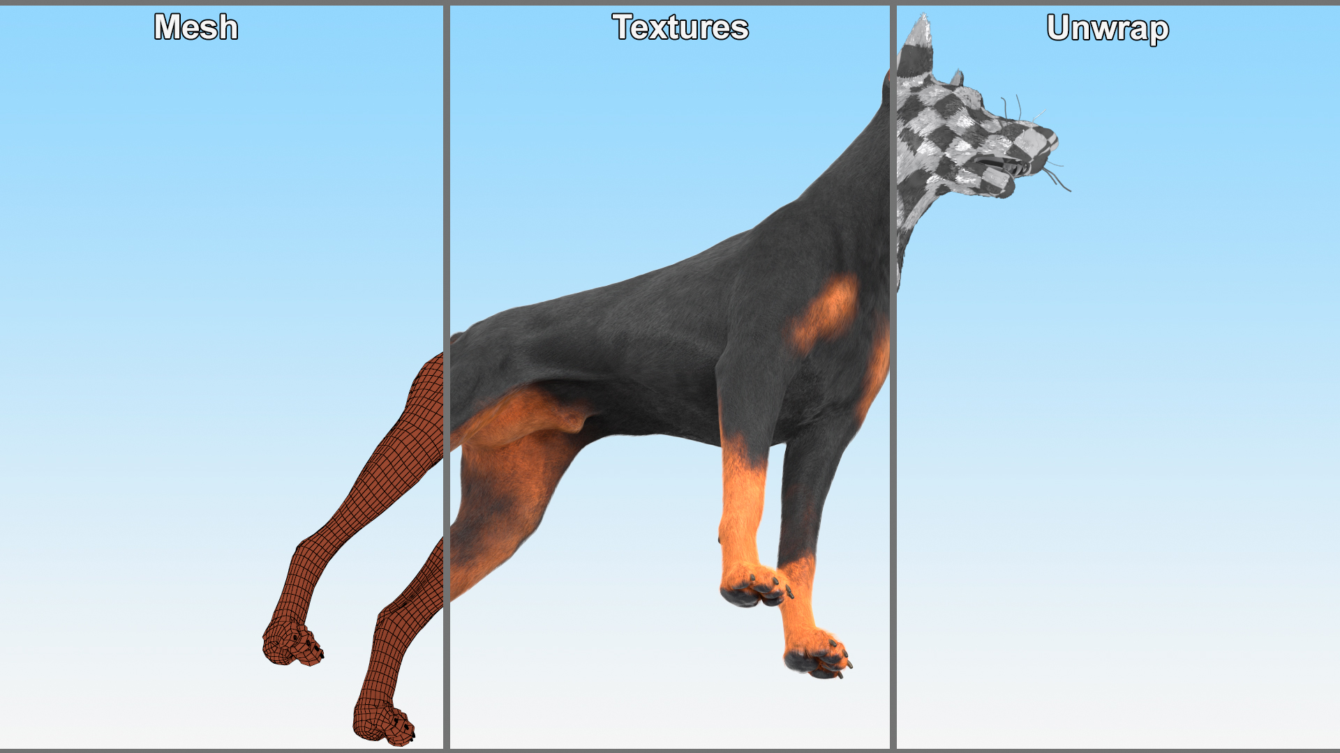 Doberman Pinscher Dog Fur Rigged 3D