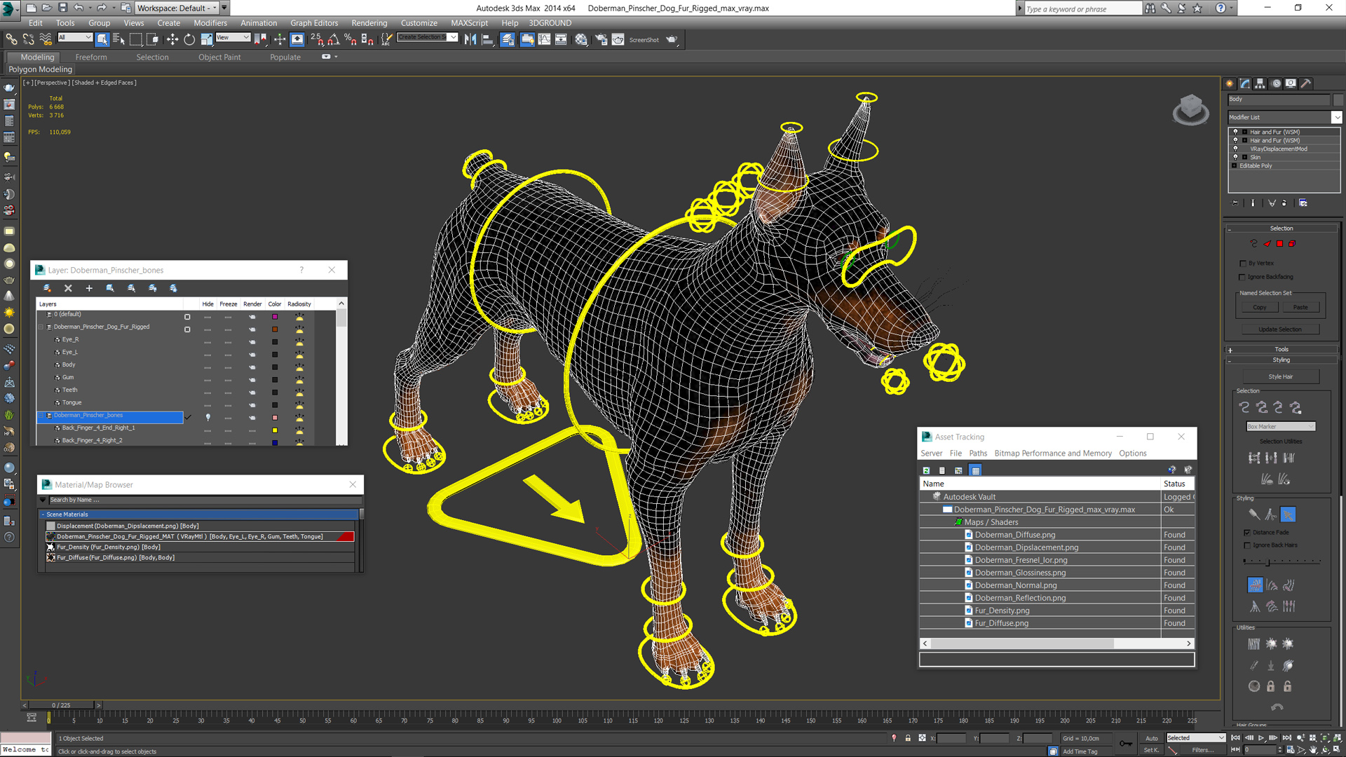 Doberman Pinscher Dog Fur Rigged 3D