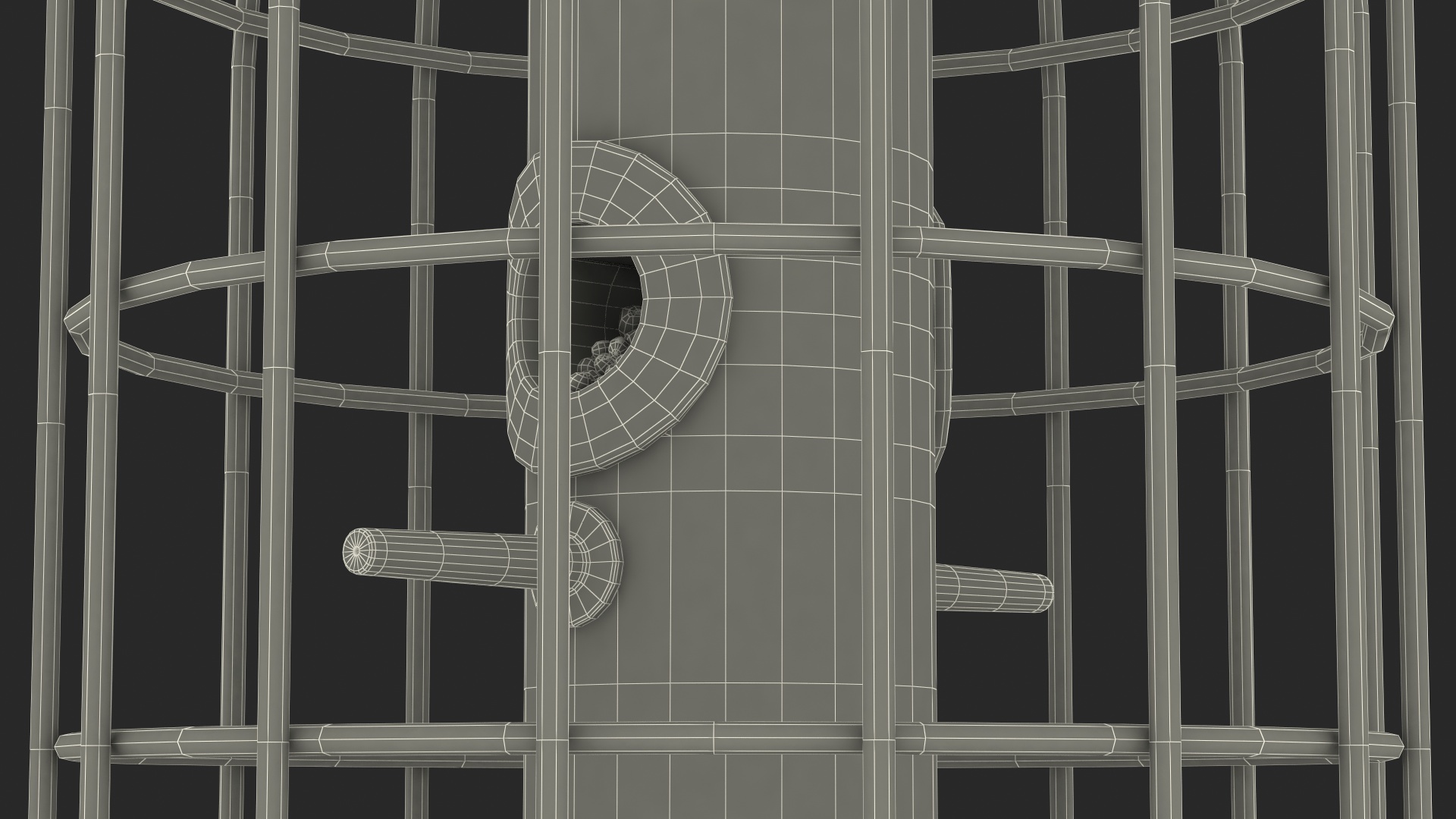 3D Caged Bird Feeder with Seeds model