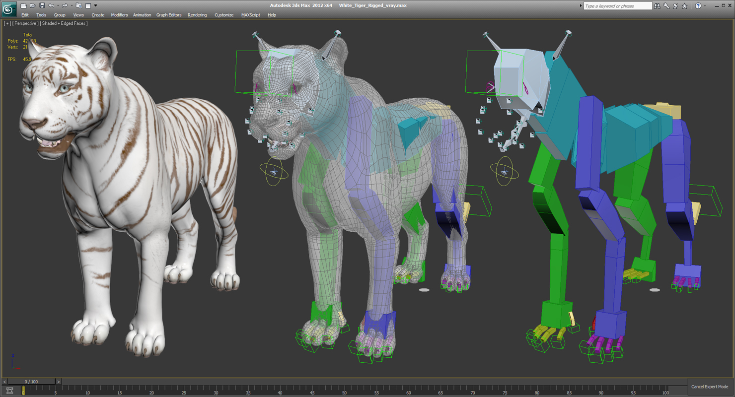 3D White Tiger Rigged model
