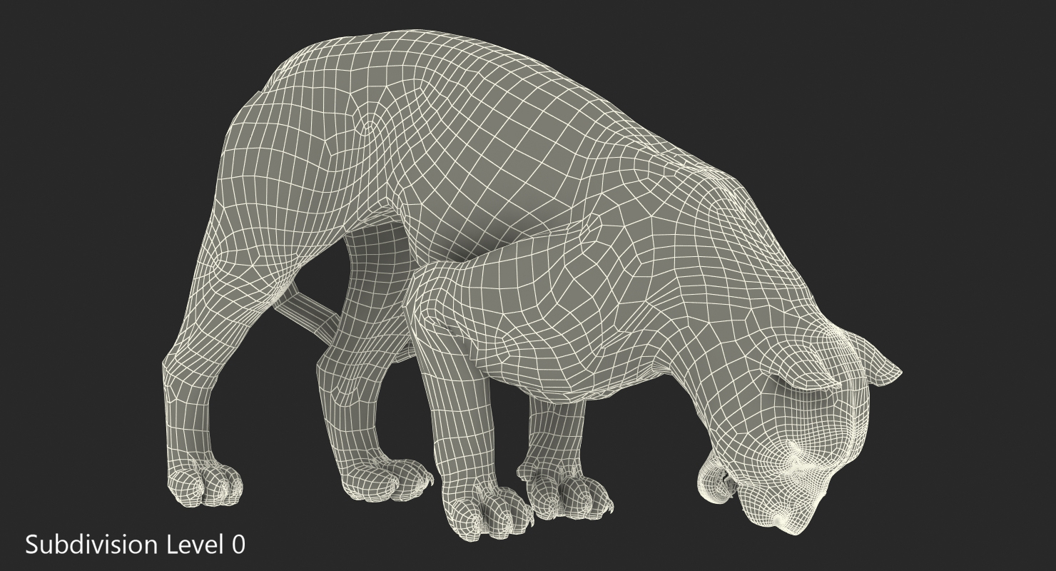 3D White Tiger Rigged model