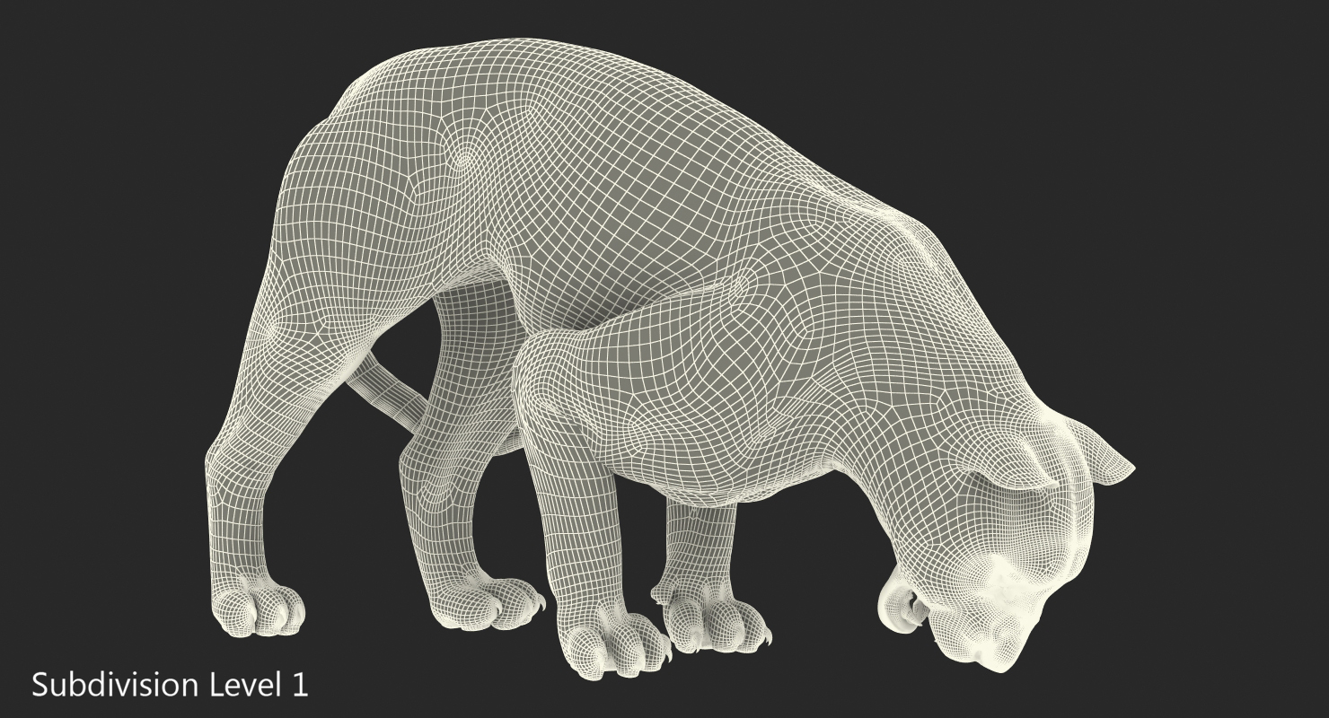 3D White Tiger Rigged model