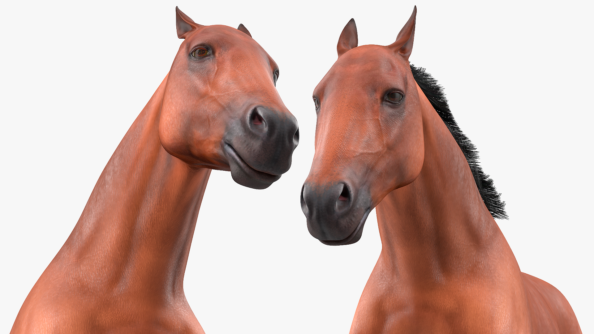 3D Jumping Bay Horse Fur