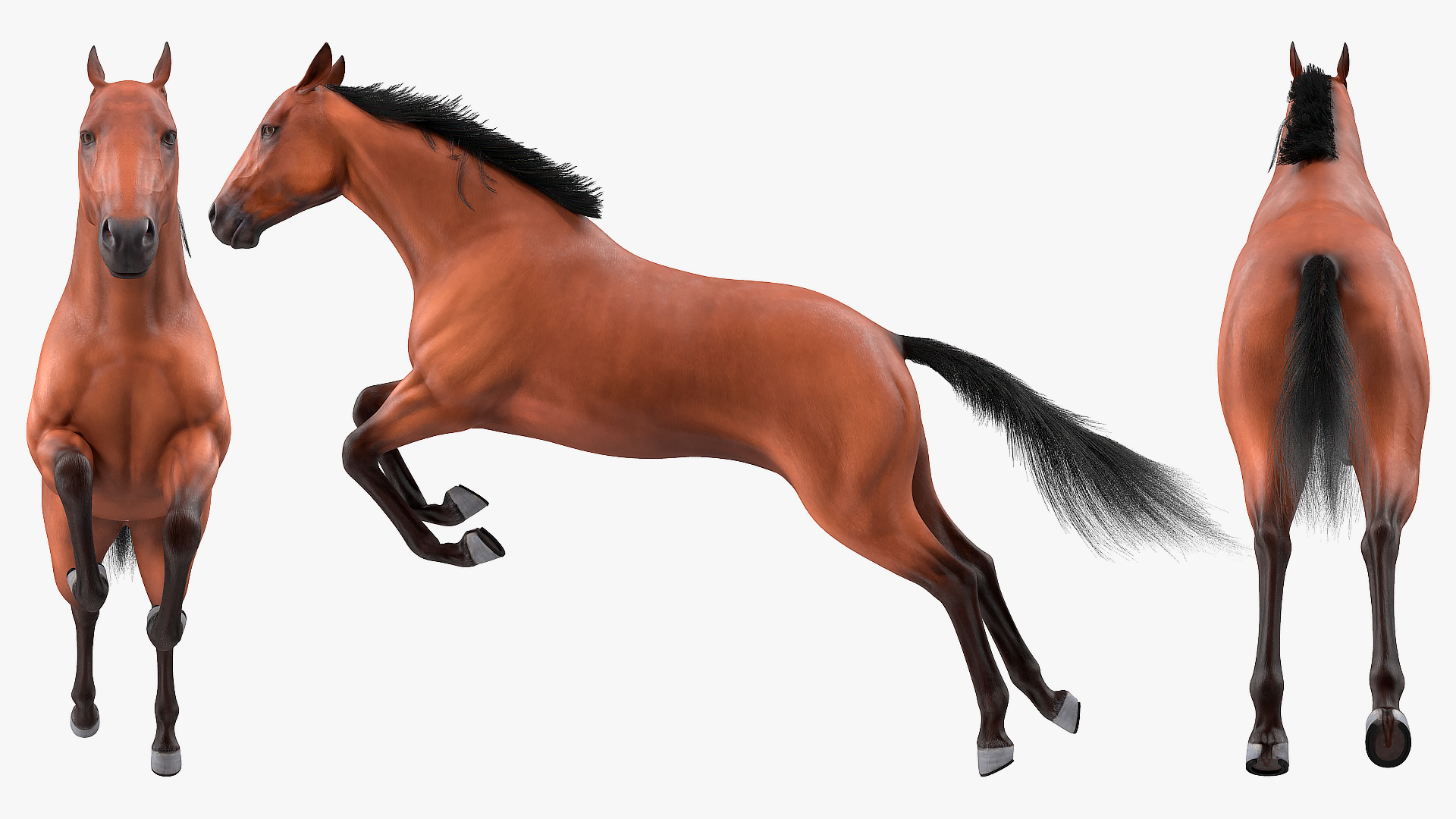 3D Jumping Bay Horse Fur