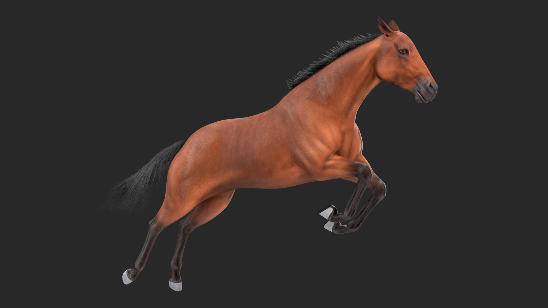 3D Jumping Bay Horse Fur