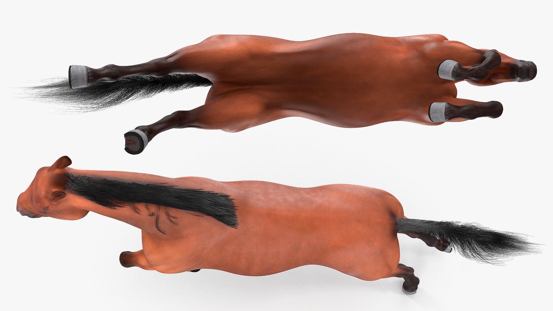 3D Jumping Bay Horse Fur