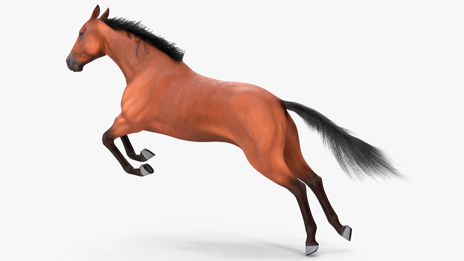 3D Jumping Bay Horse Fur