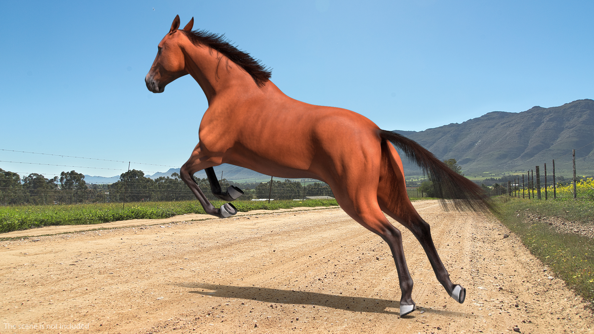 3D Jumping Bay Horse Fur