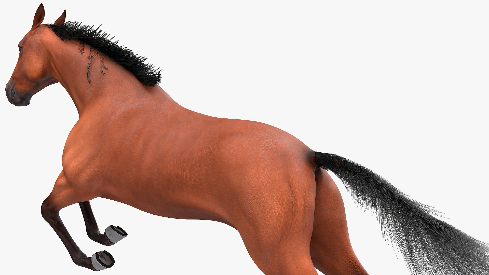 3D Jumping Bay Horse Fur