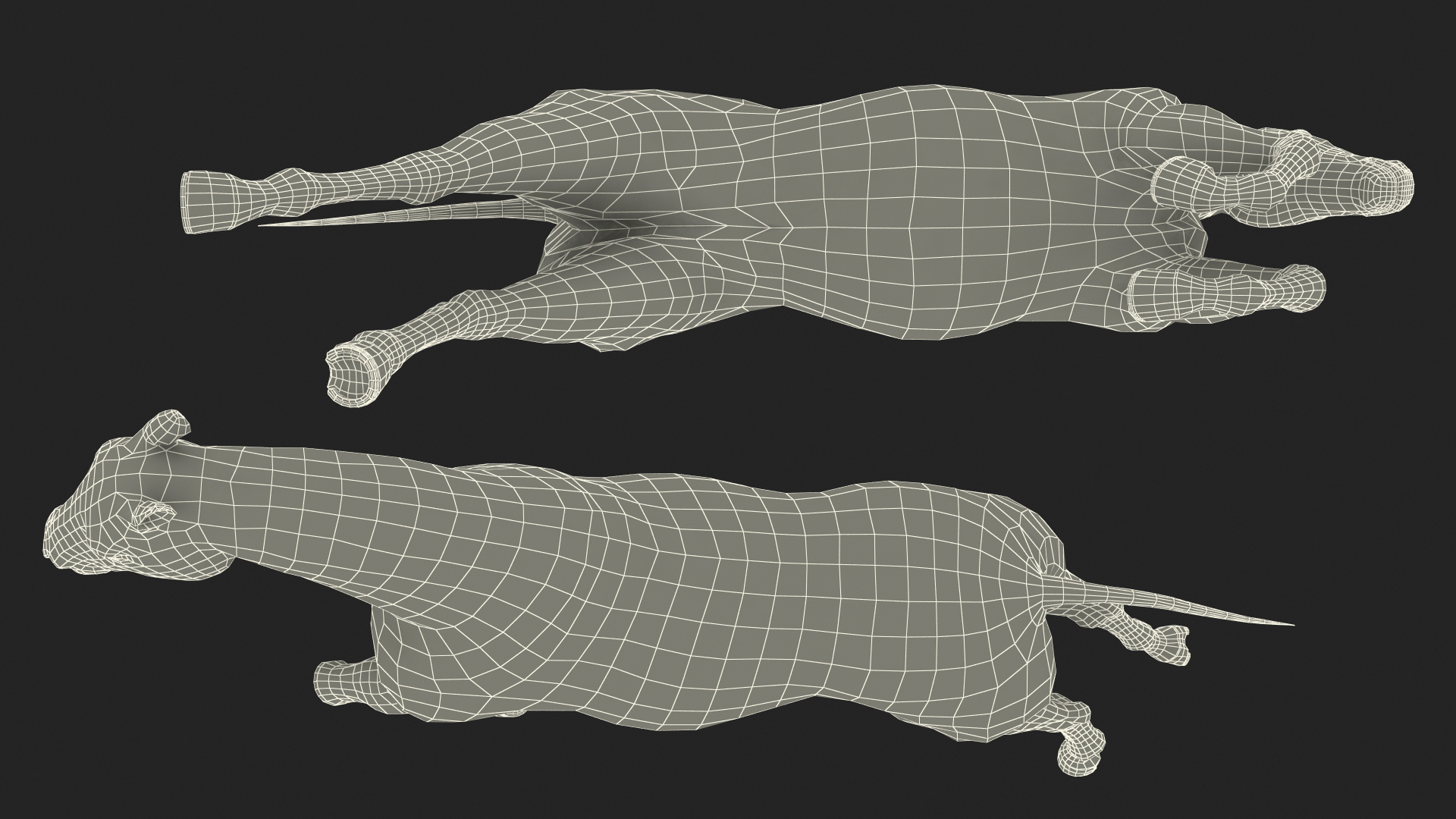3D Jumping Bay Horse Fur