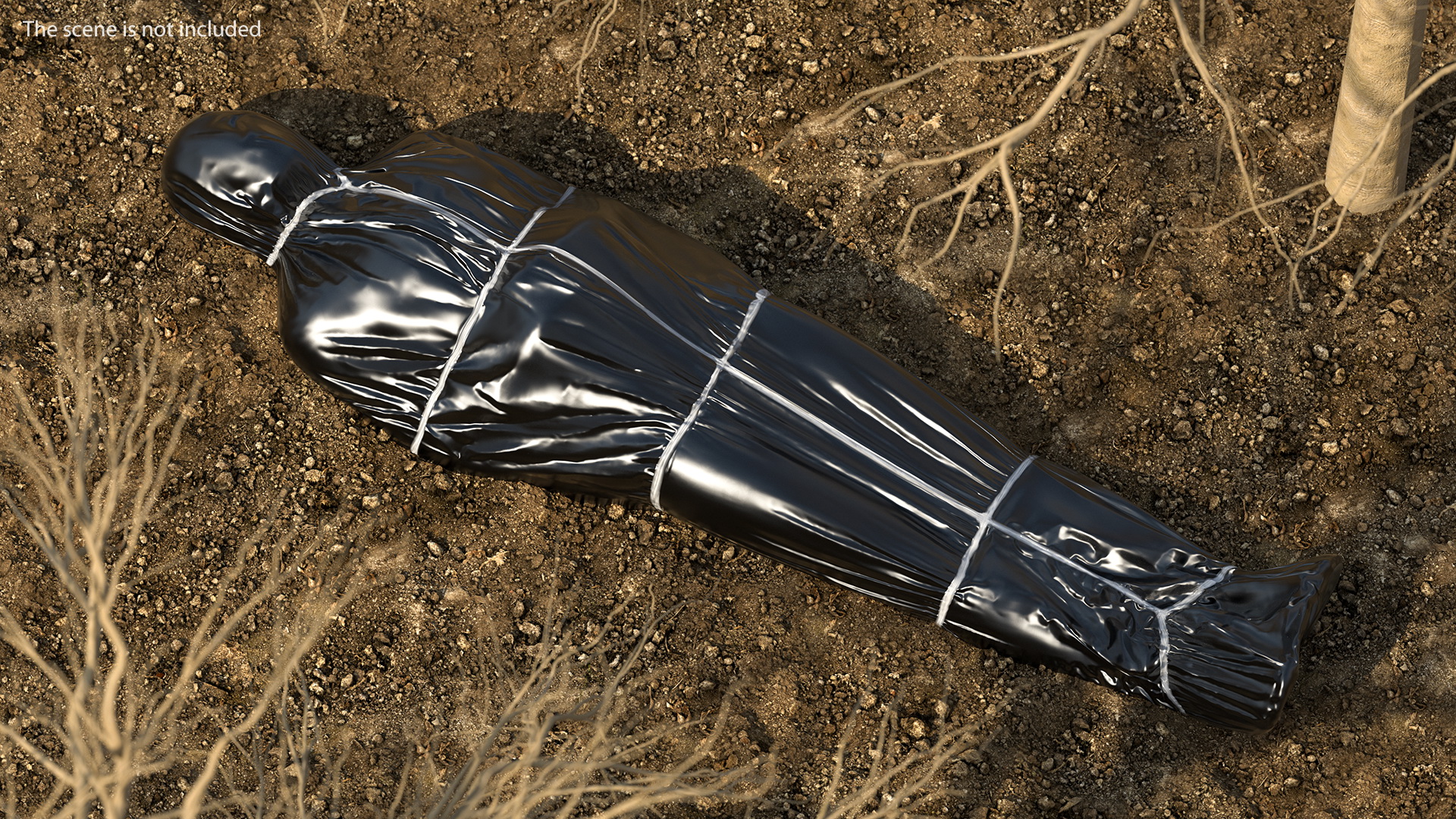 3D Dead Body Covered with Body Bag