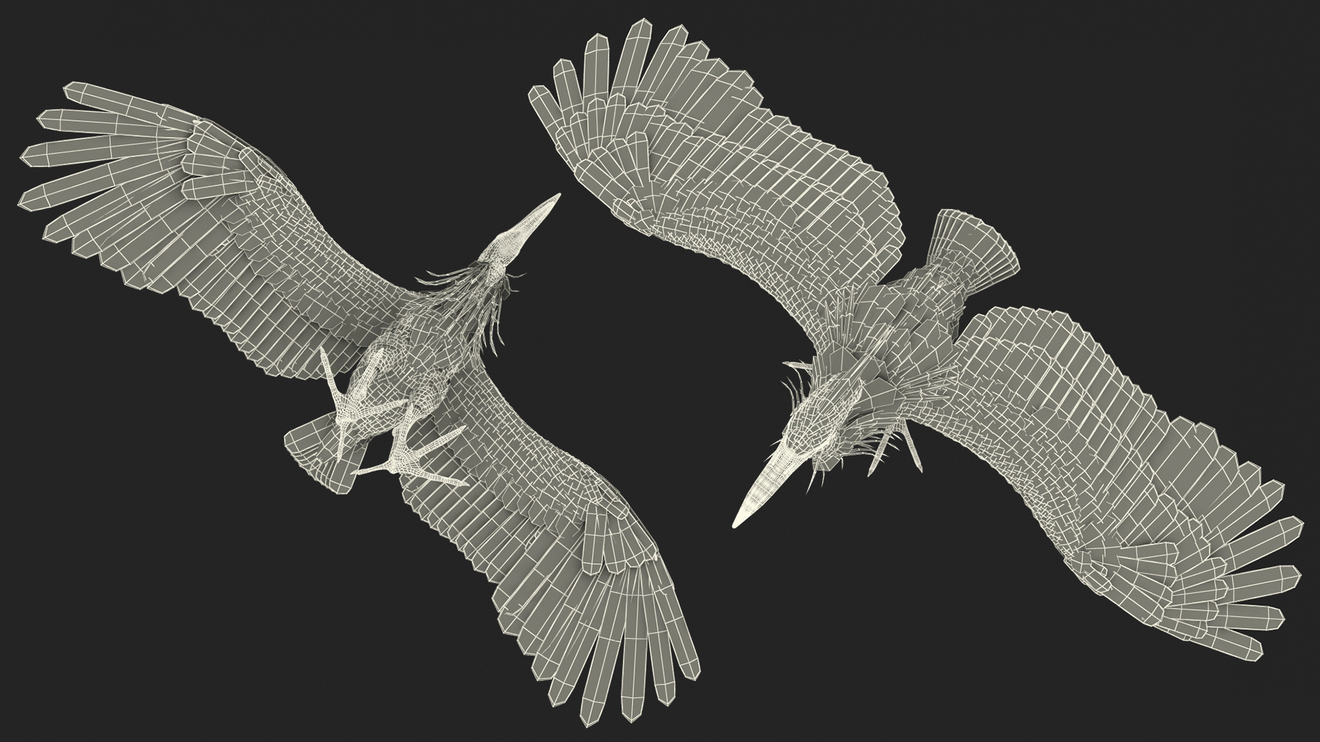3D Grey Heron Rigged for Cinema 4D