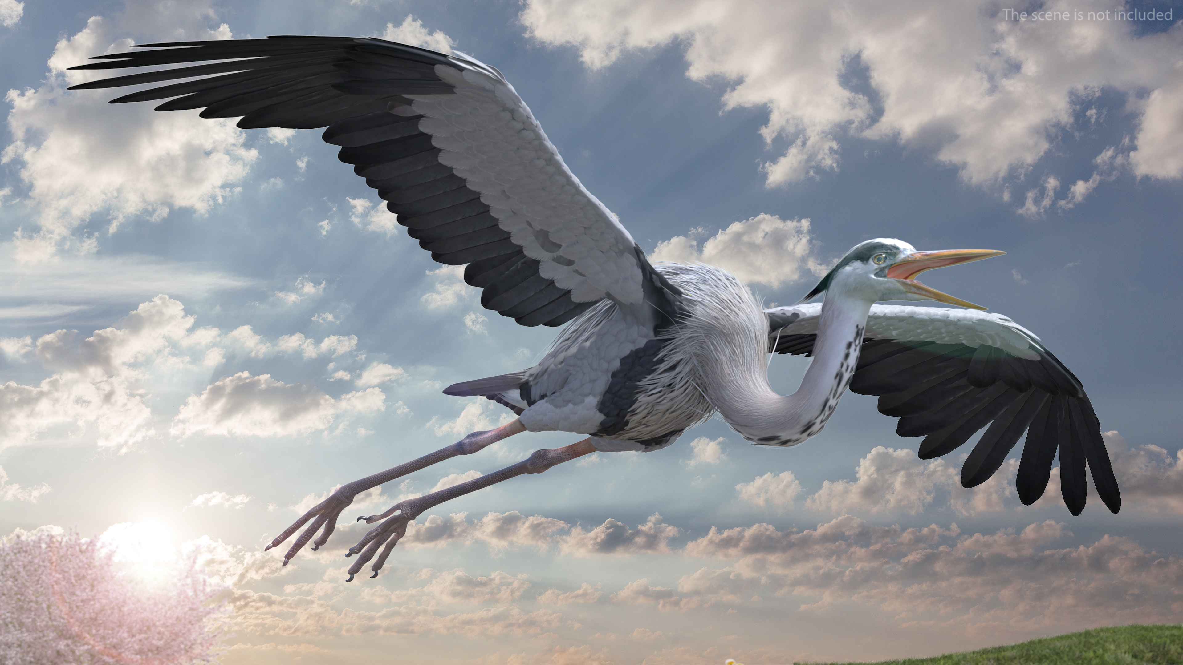 3D Grey Heron Rigged for Cinema 4D