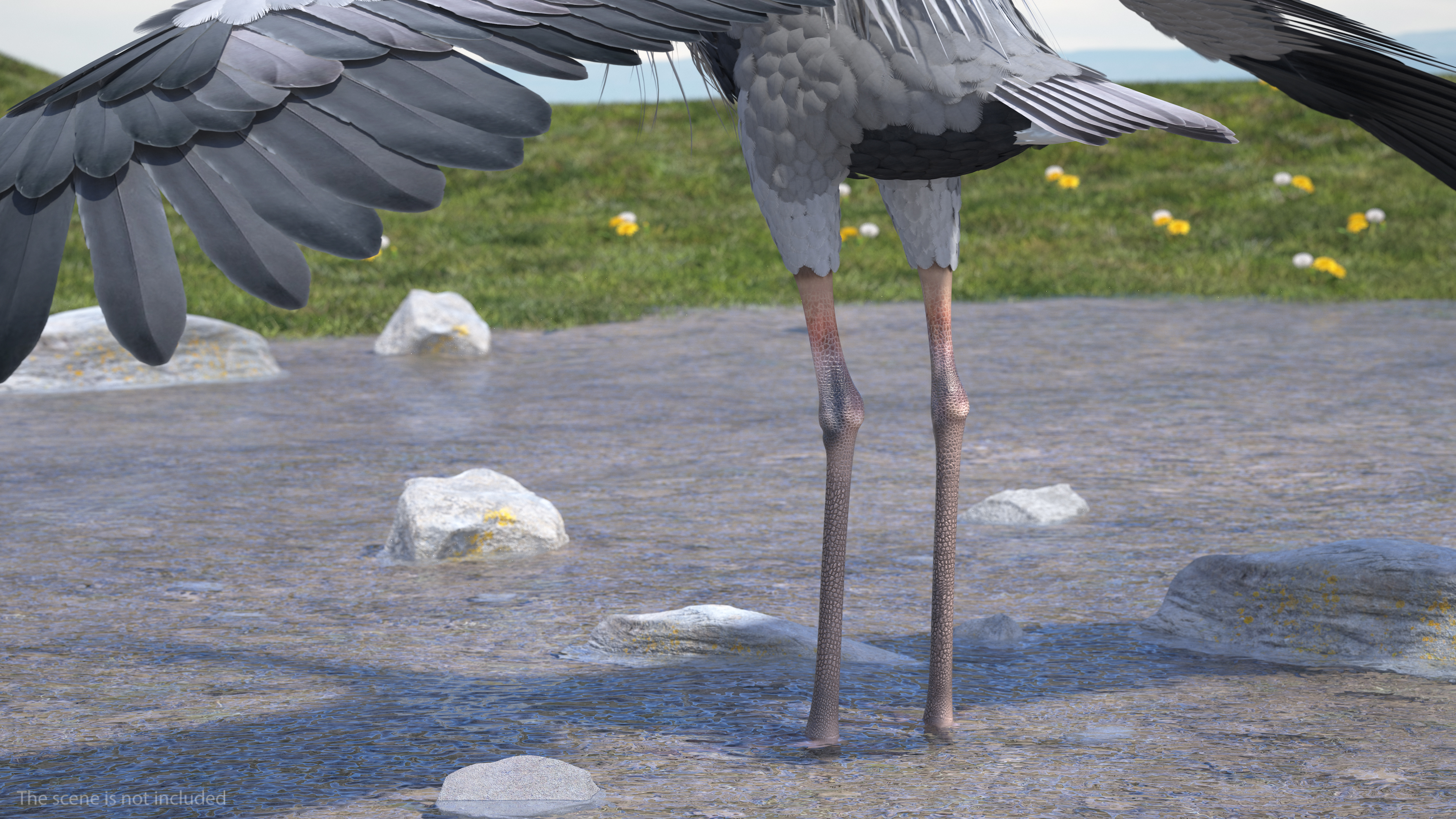 3D Grey Heron Rigged for Cinema 4D