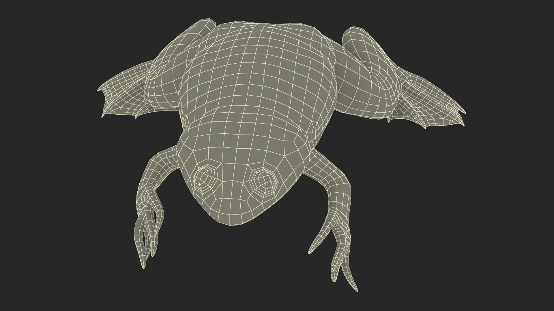 3D African Claw-toe Frog Sits Pose