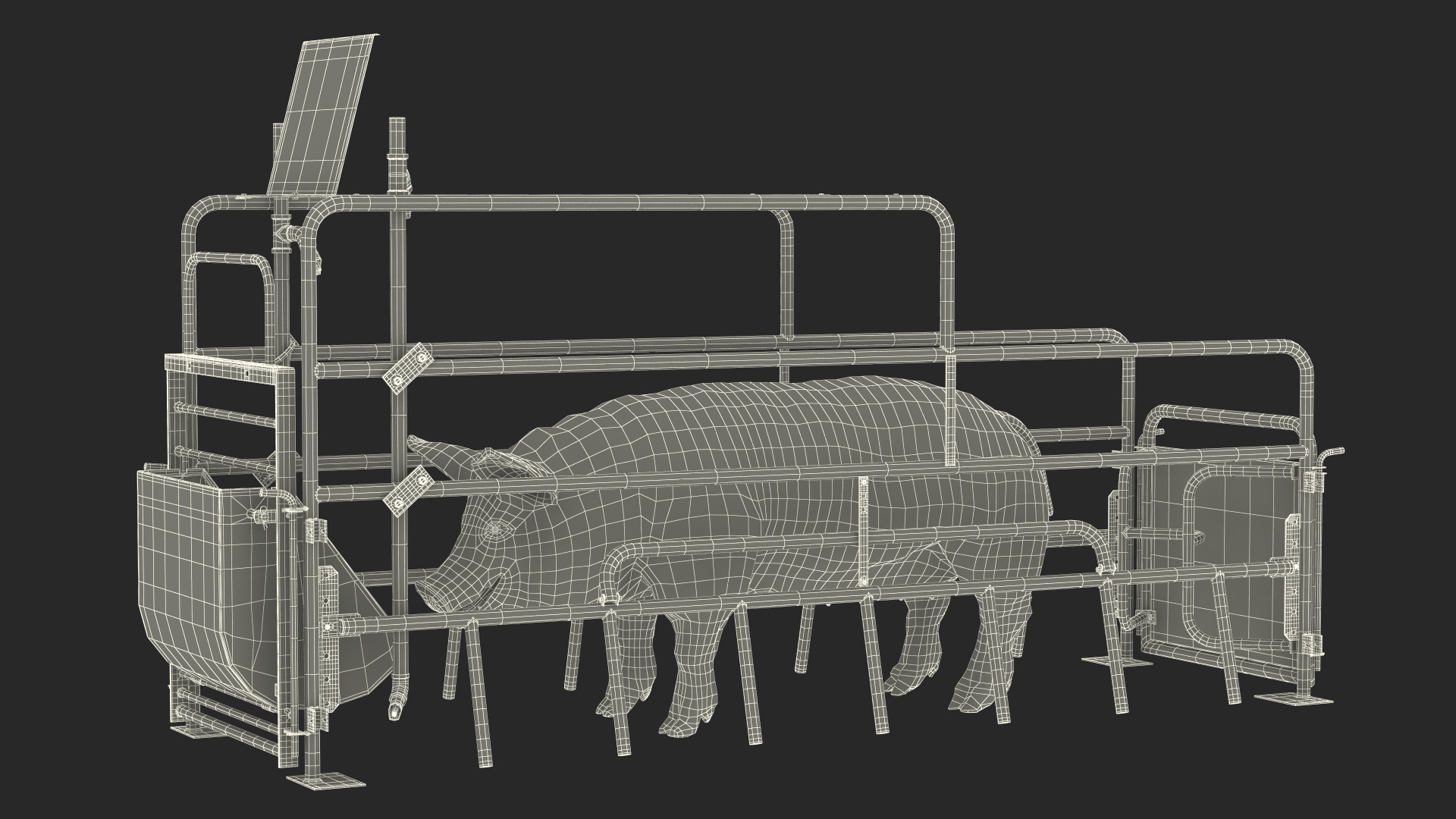 Pig in Farrowing Crate 3D