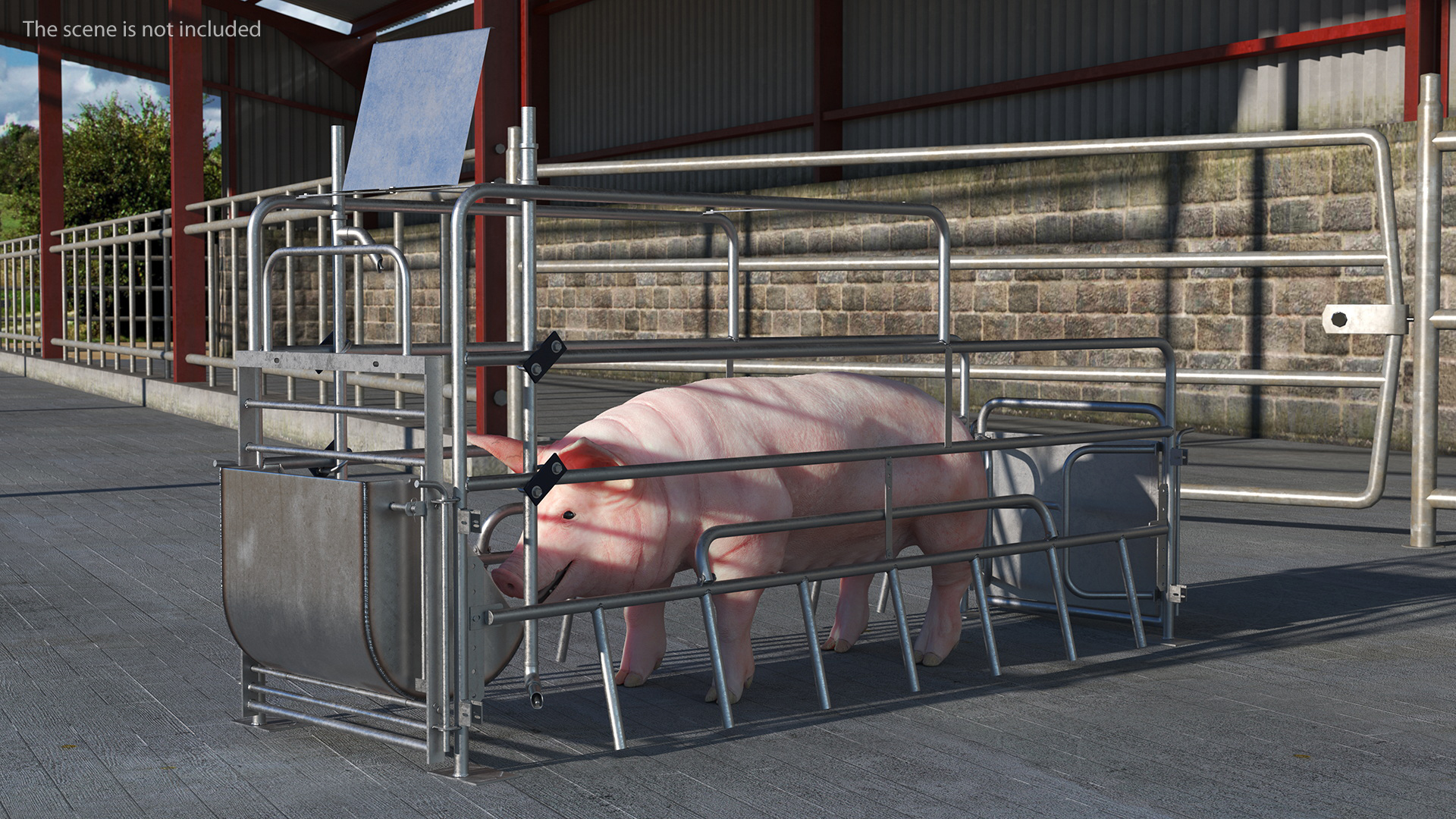 Pig in Farrowing Crate 3D