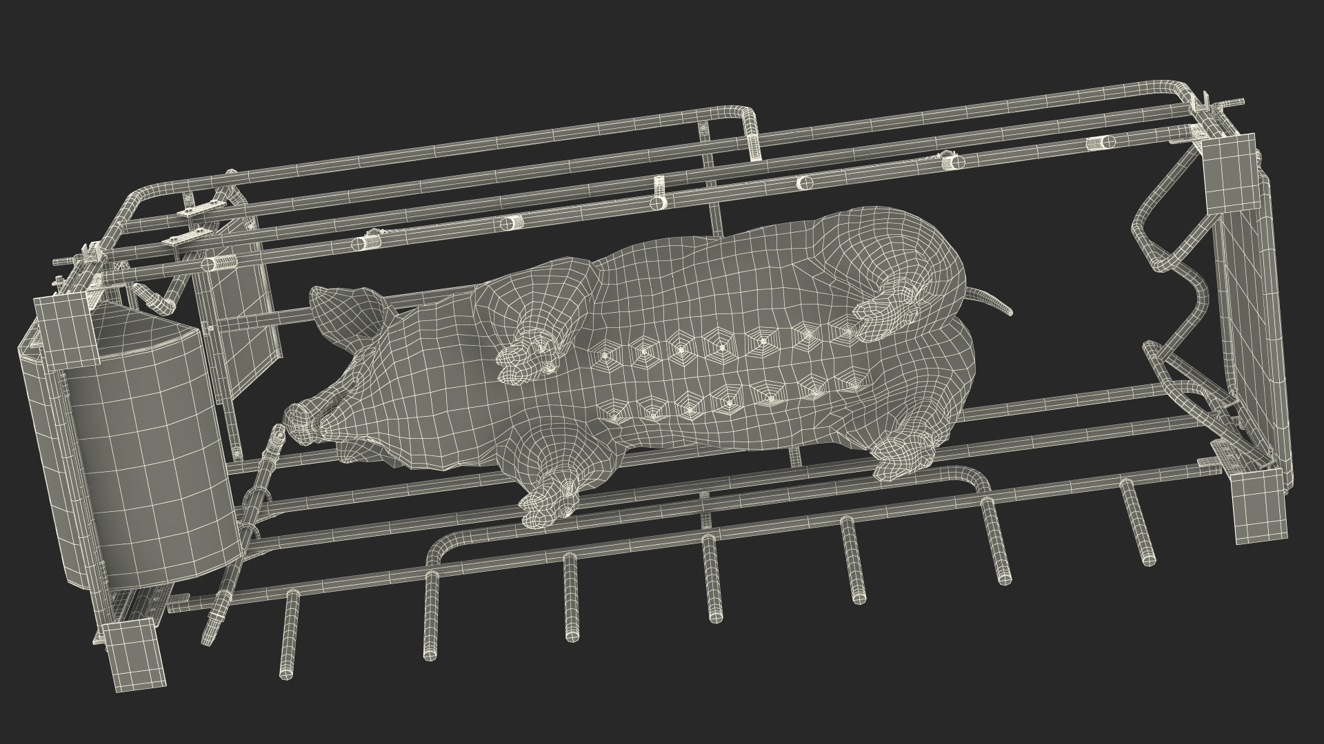 Pig in Farrowing Crate 3D