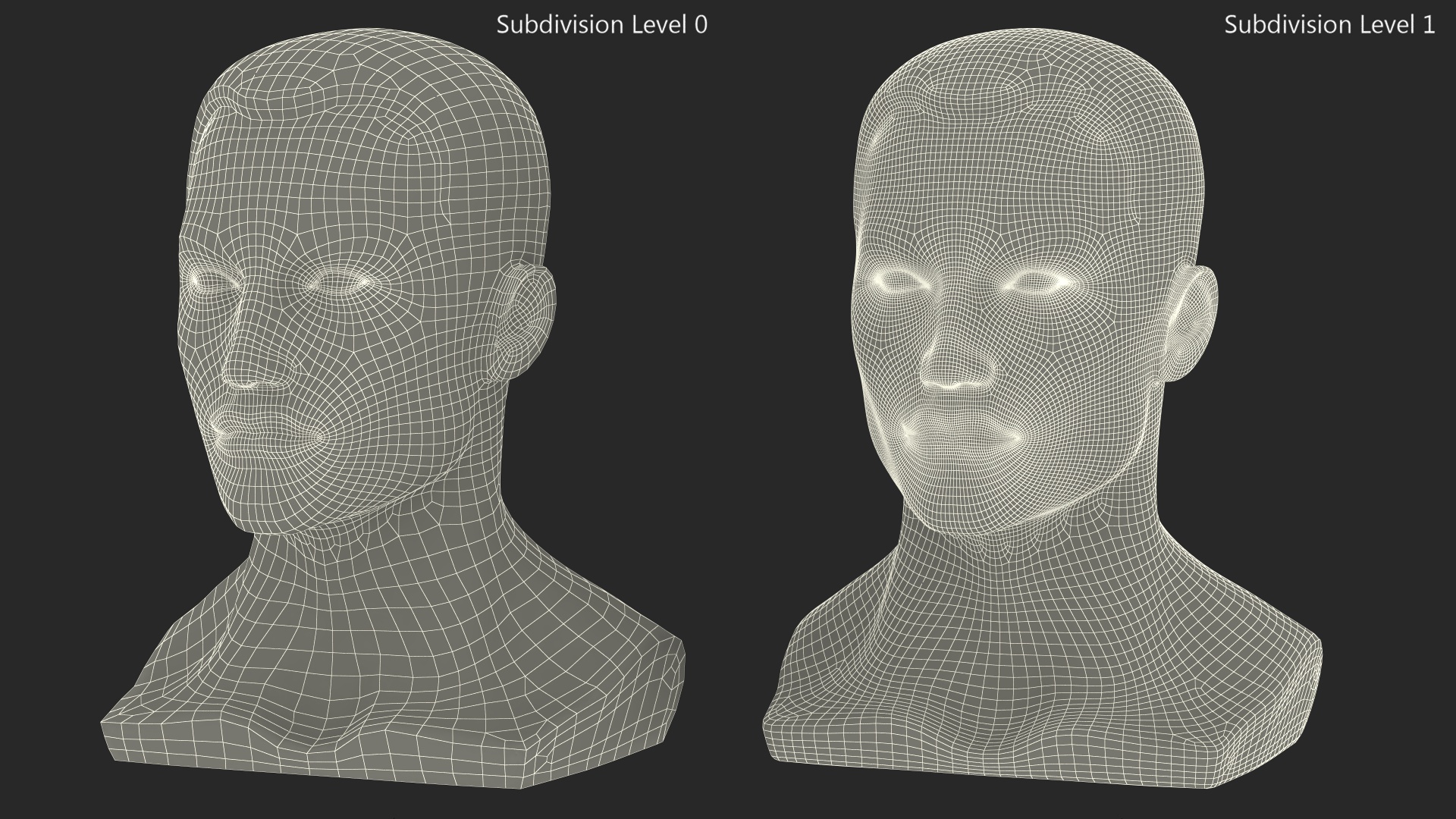 3D model Male Mannequin Head with Hair Black