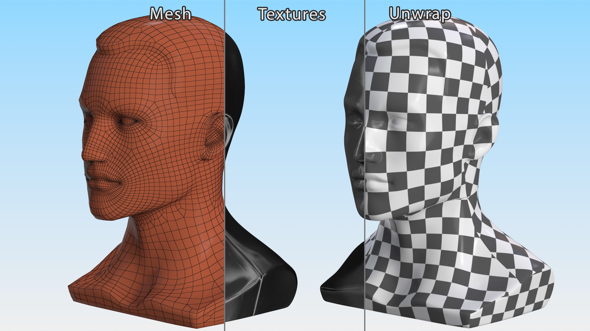 3D model Male Mannequin Head with Hair Black