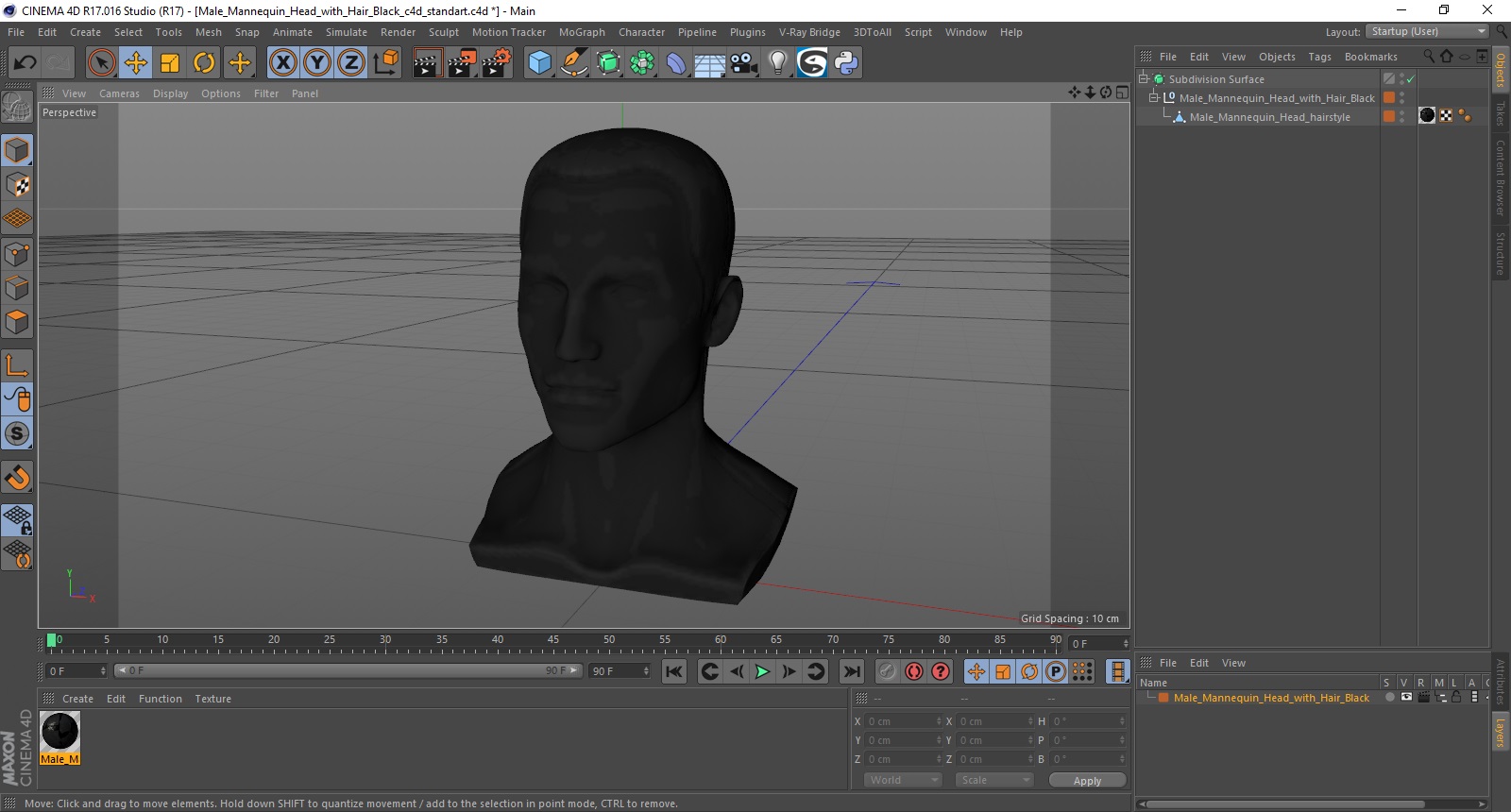3D model Male Mannequin Head with Hair Black