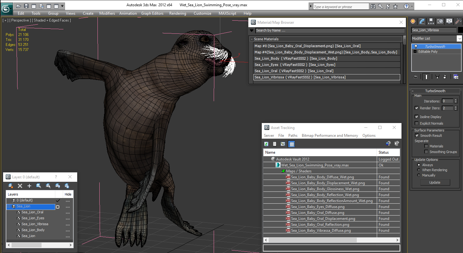 3D Wet Sea Lion Swimming Pose