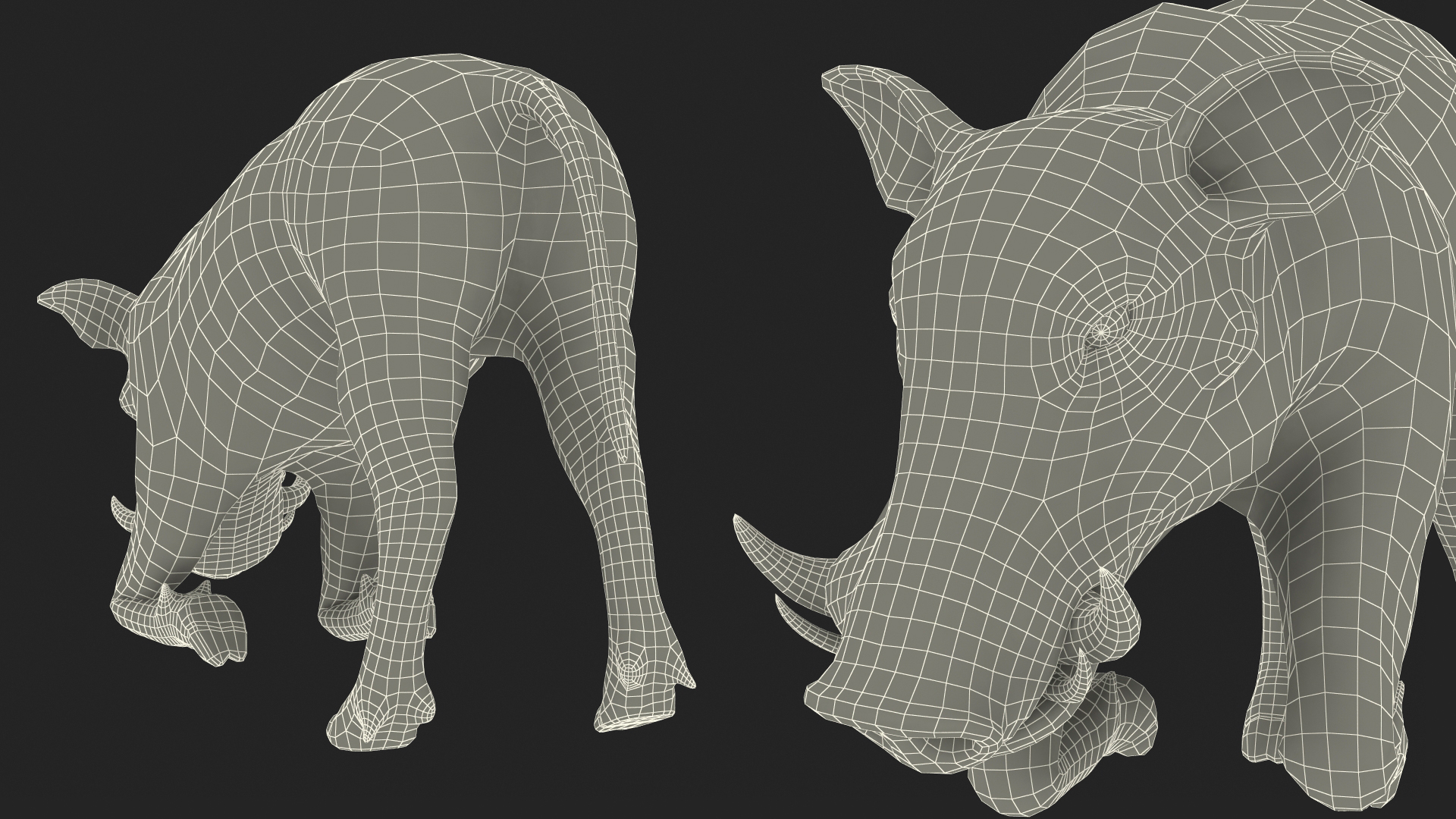 3D African Wild Boar Kneeling Pose