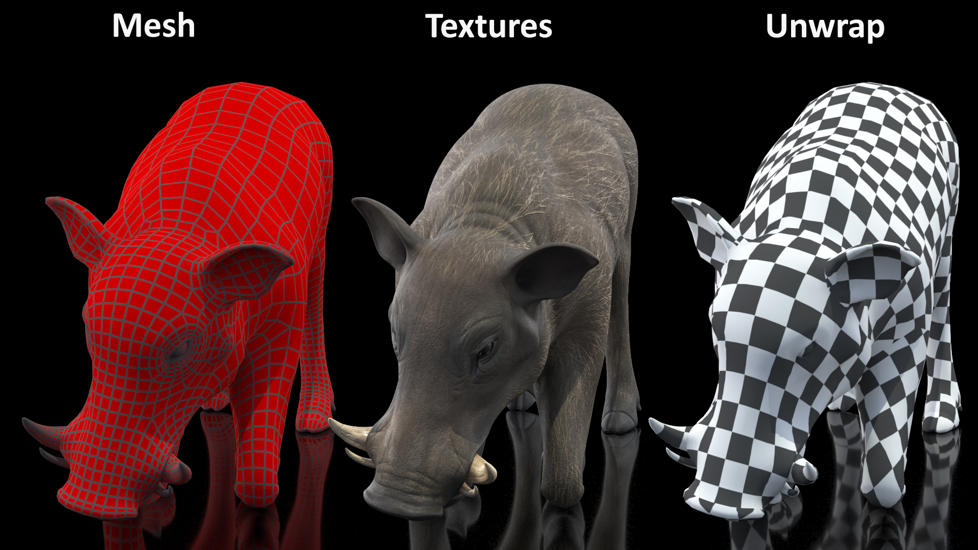 3D African Wild Boar Kneeling Pose